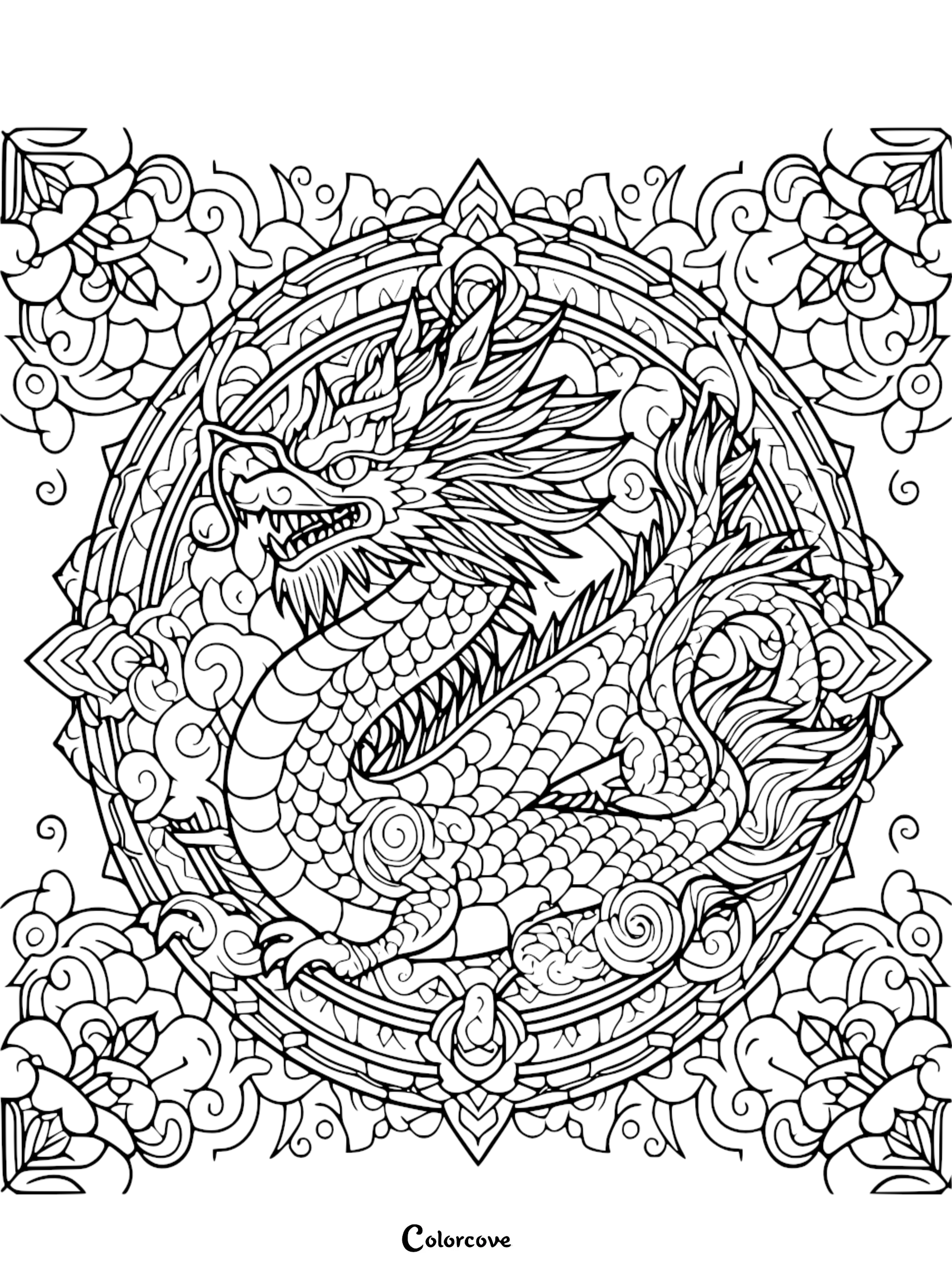 a black and white drawing of a dragon