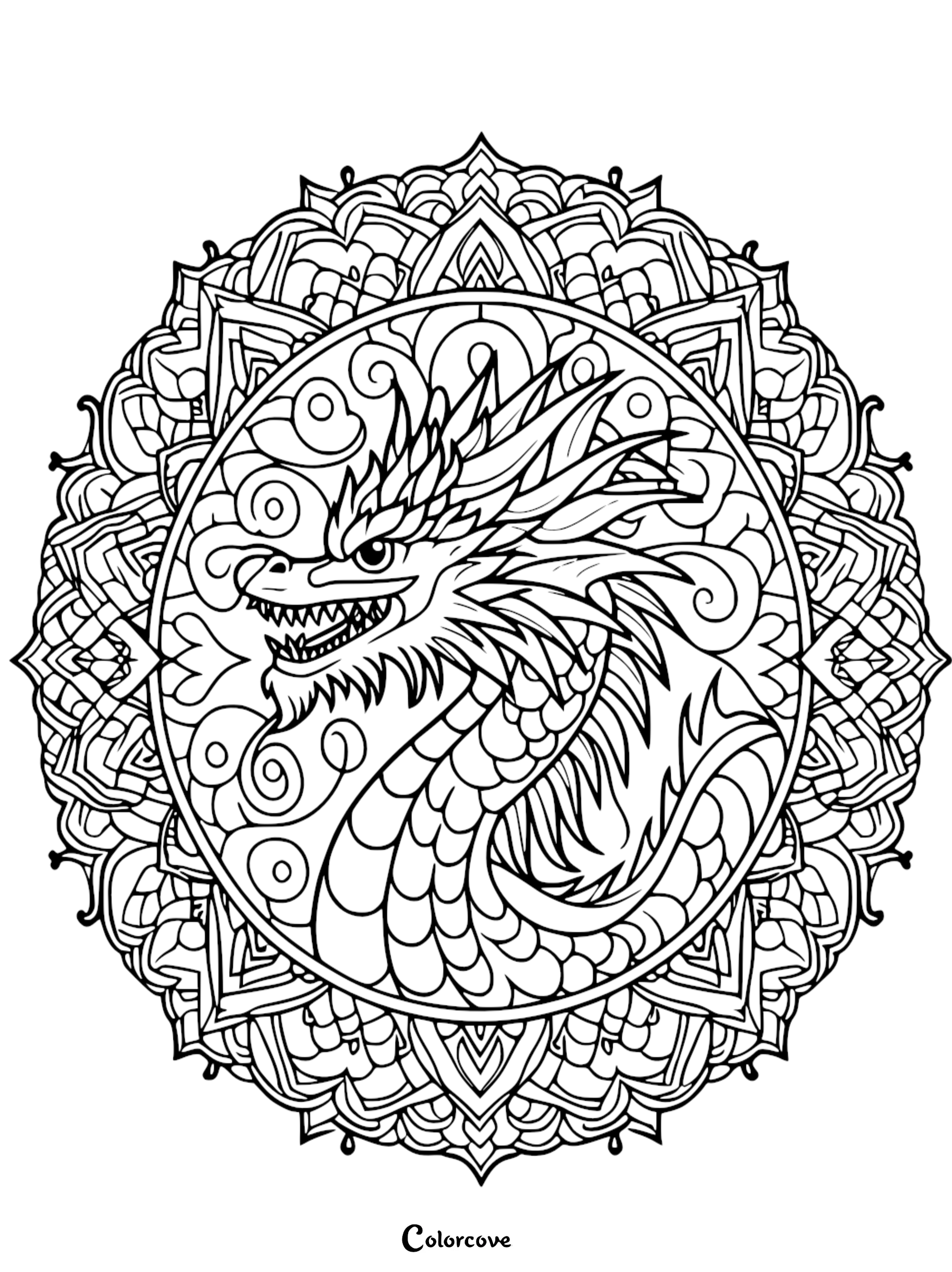 a black and white drawing of a dragon in a circular pattern