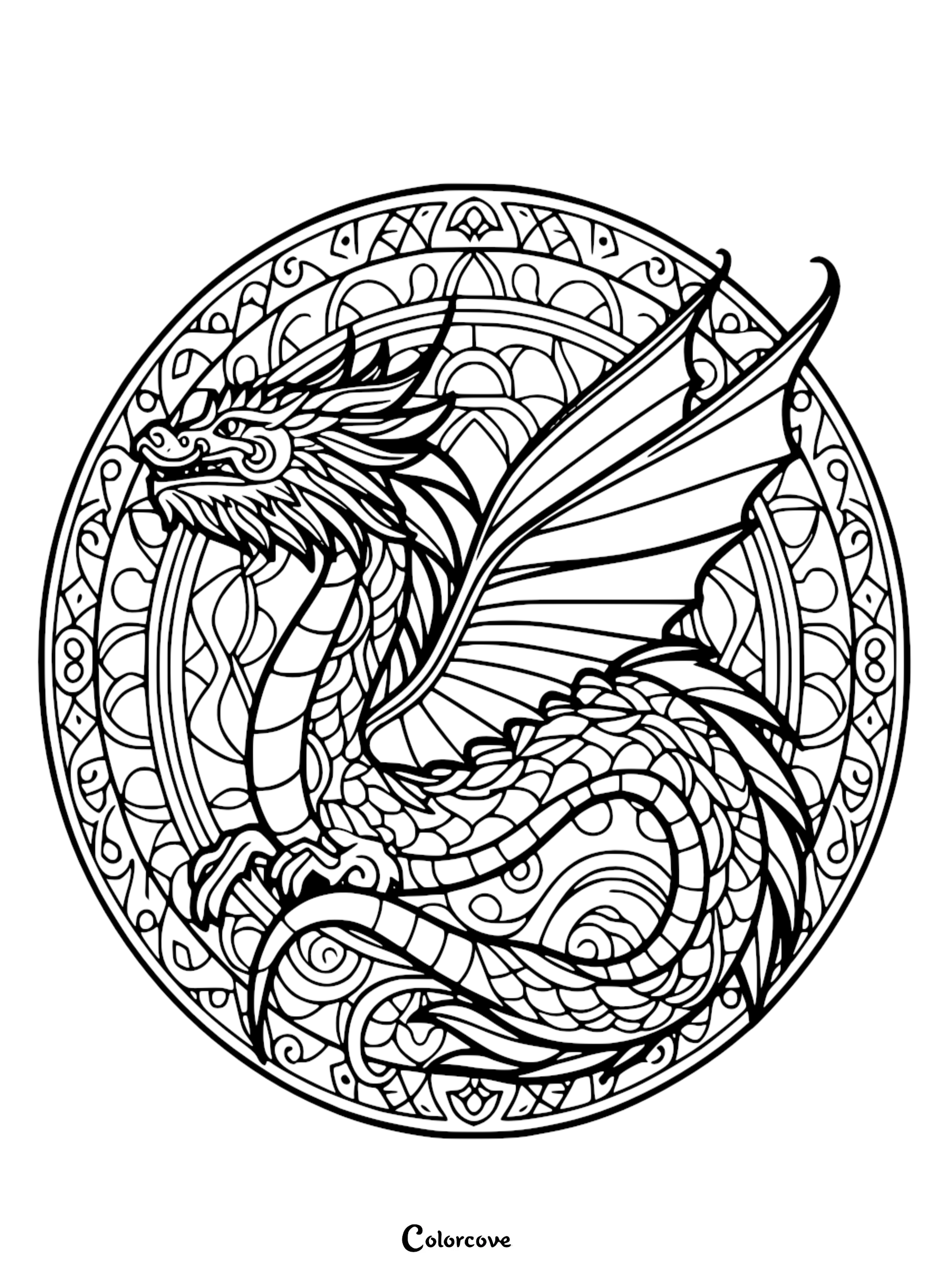 a black and white drawing of a dragon