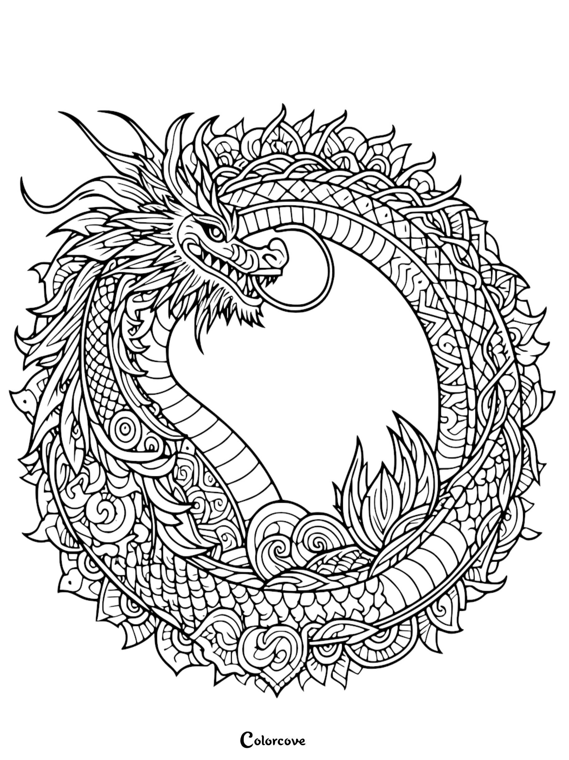 a black and white drawing of a dragon
