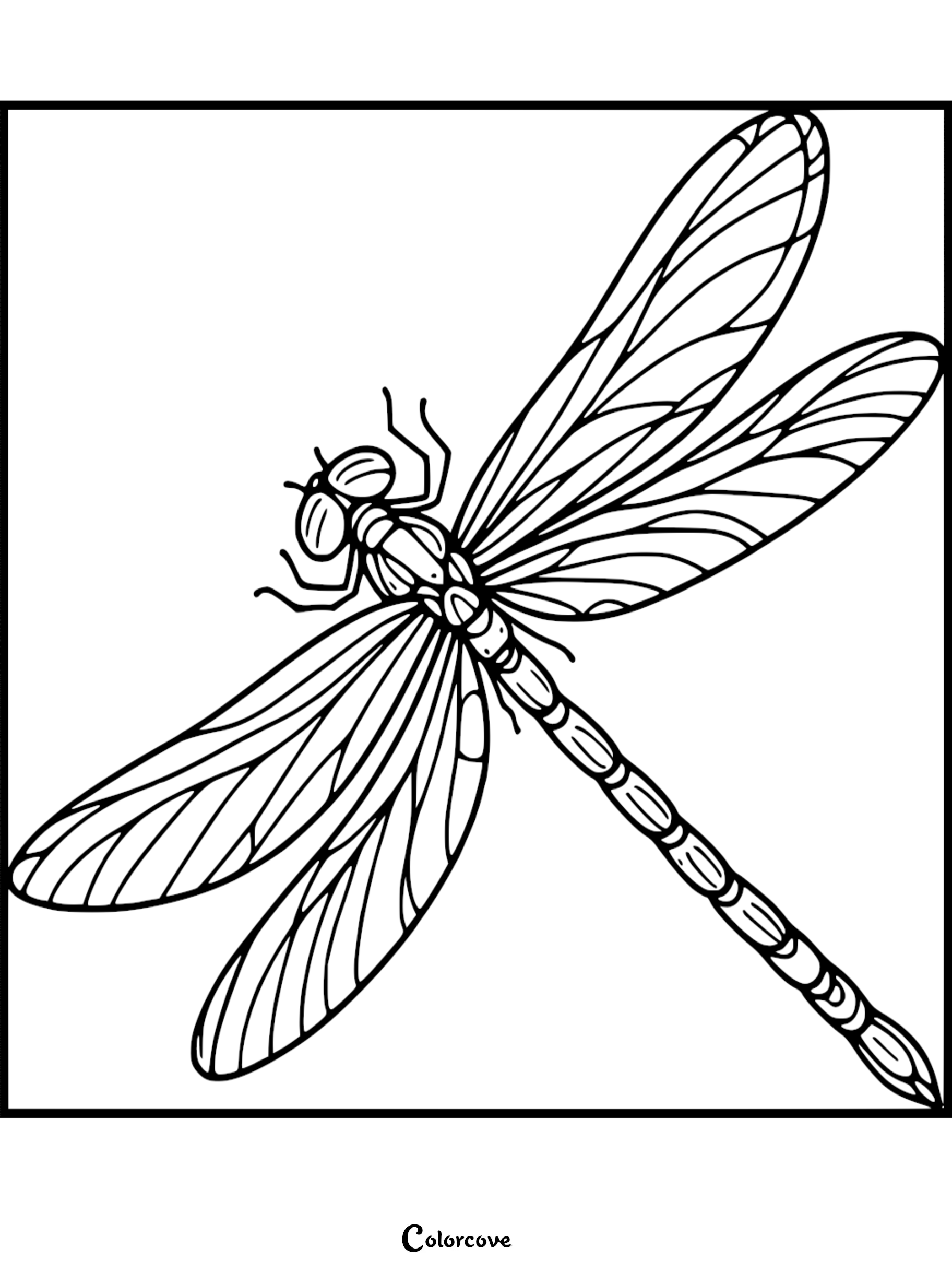 A detailed dragonfly coloring page featuring intricate wing patterns and a segmented body in black and white line art.