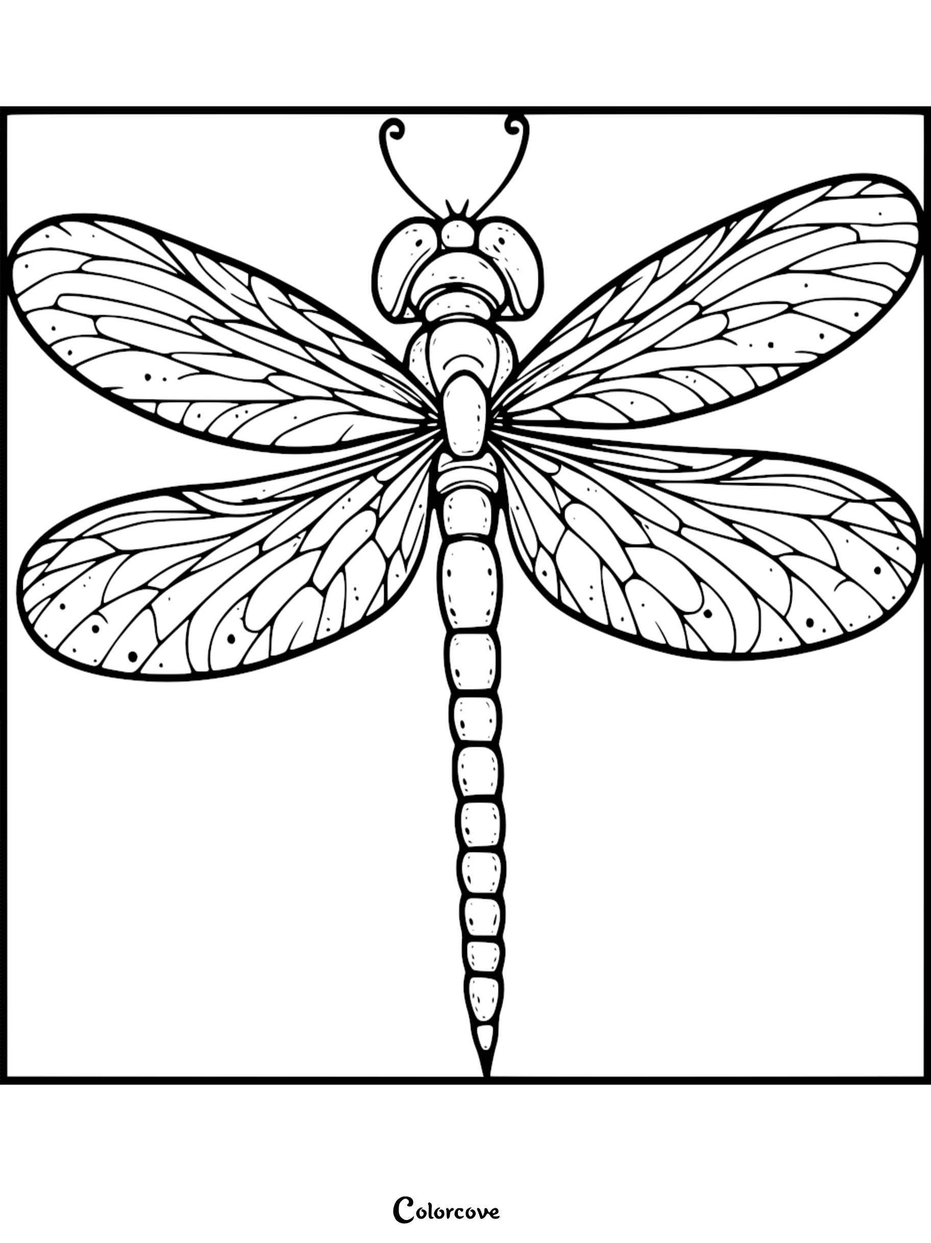 A symmetrical dragonfly coloring page featuring intricate wing venation and a segmented body in a clean black and white line art style.