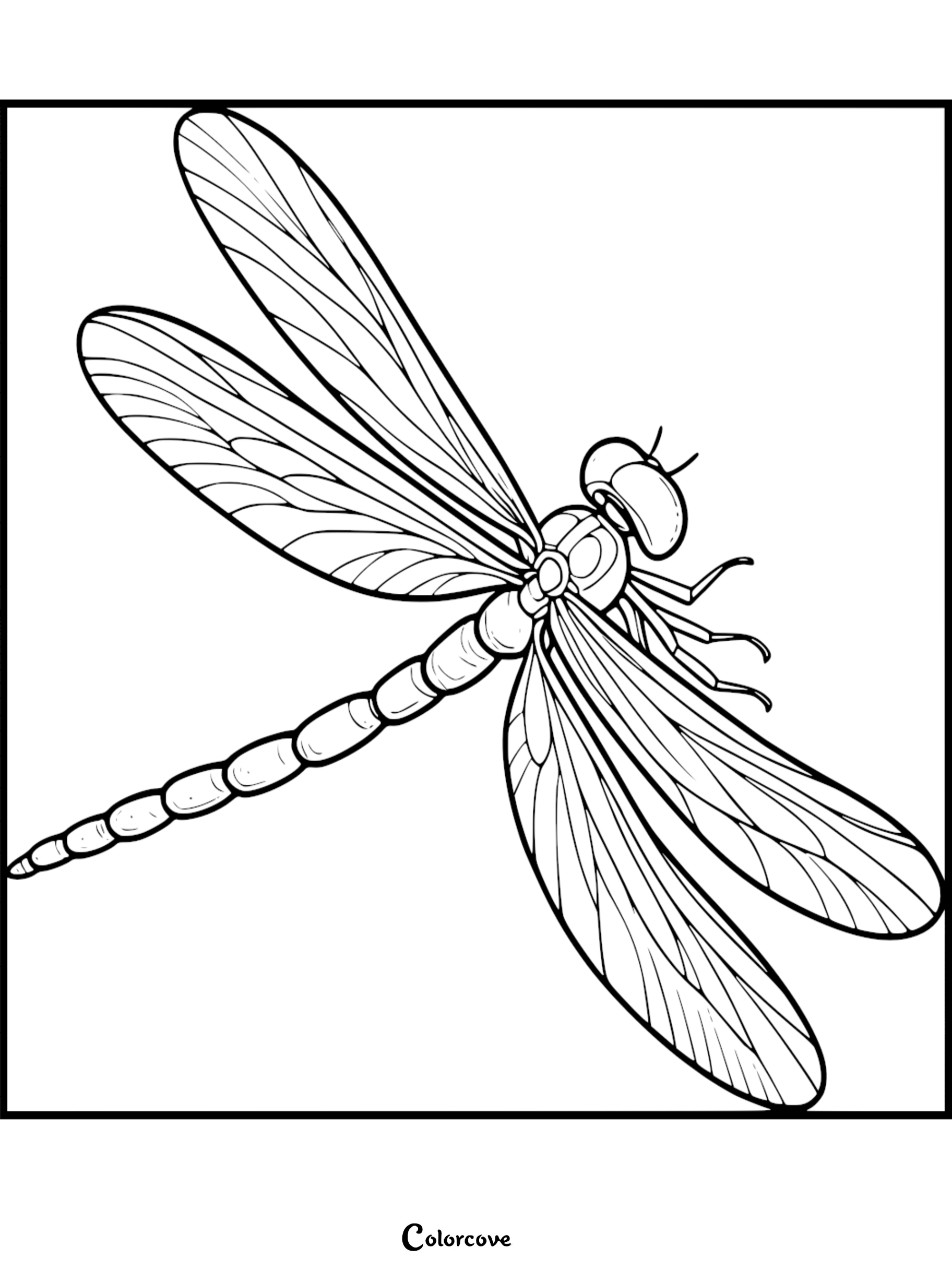 A detailed dragonfly coloring page featuring intricate wing venation and a segmented body in a clean line art style.