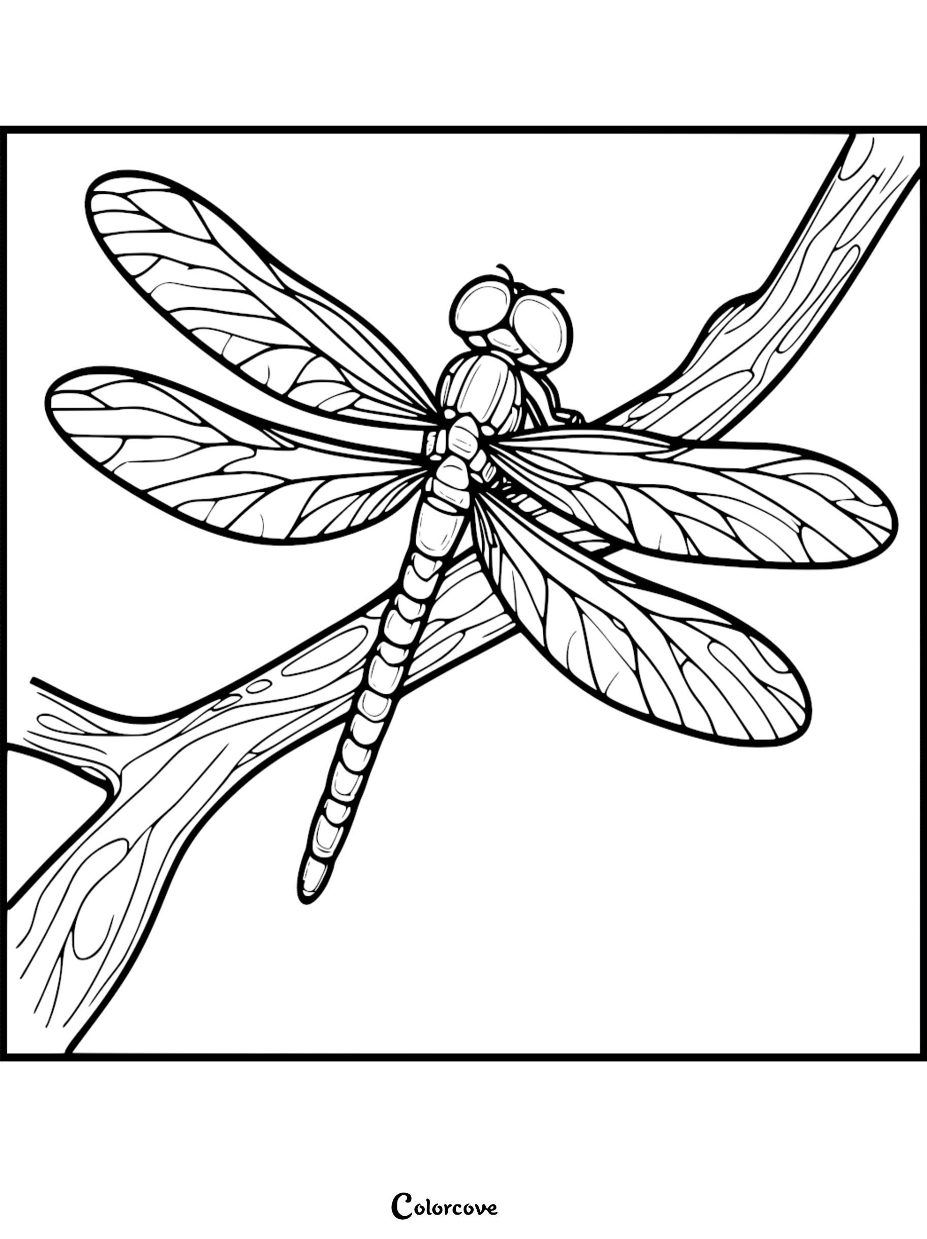 A detailed dragonfly coloring page featuring a large insect with intricate wing venation resting on a textured tree branch.