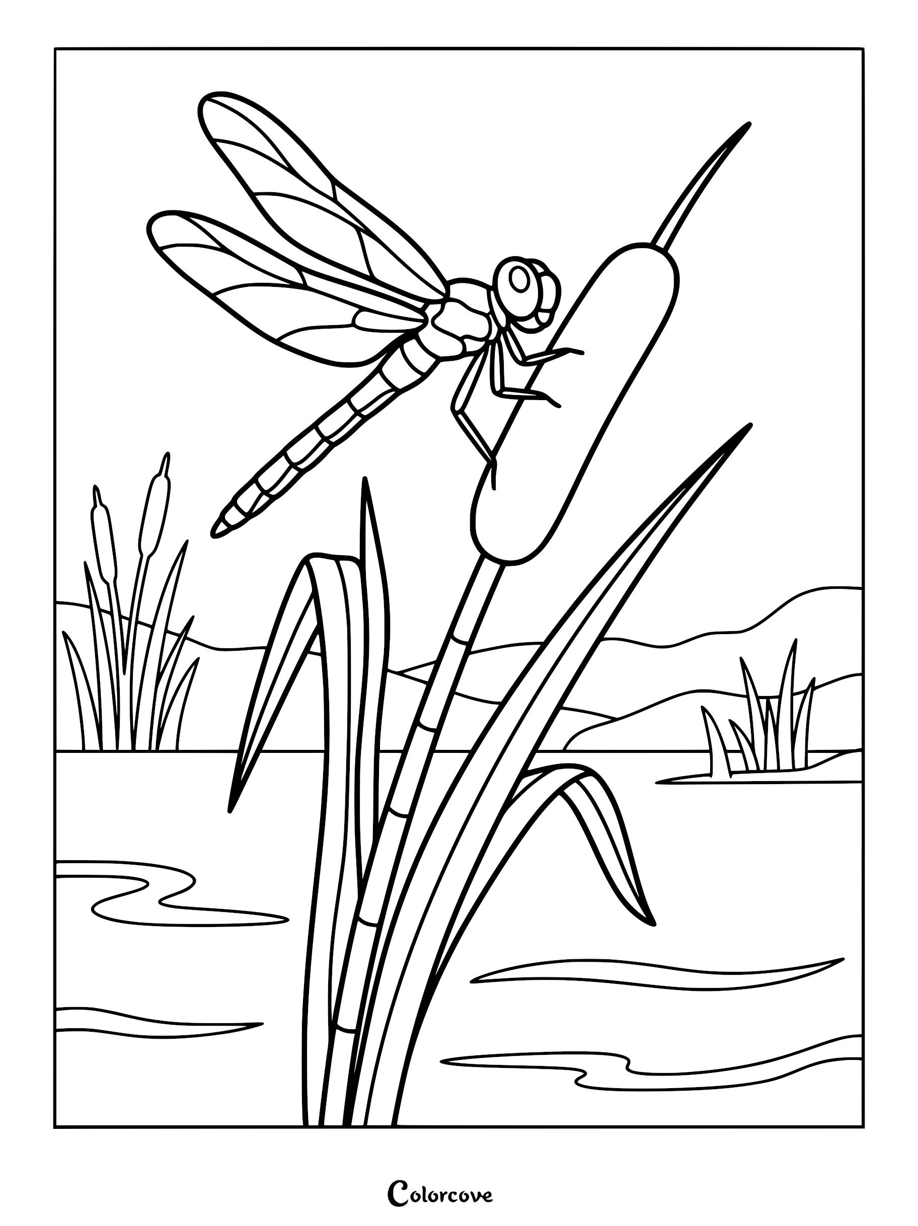 A detailed dragonfly resting on a tall cattail plant in a marshy pond, printable coloring page.