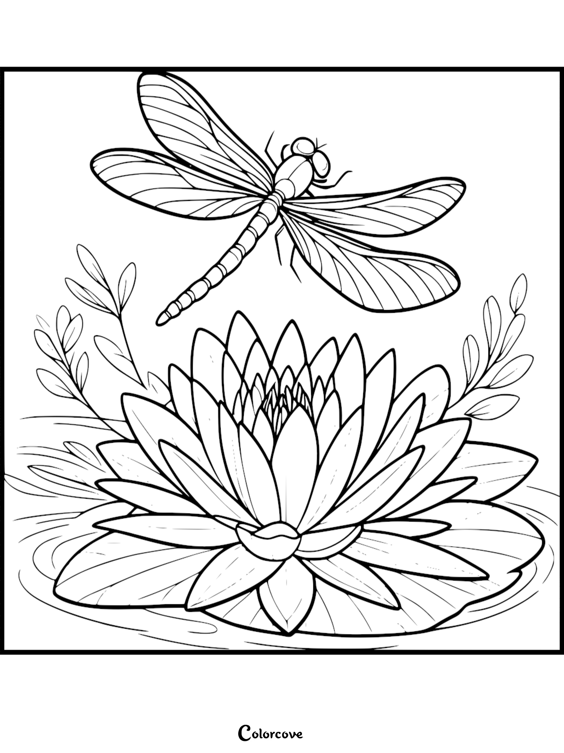 A detailed dragonfly hovering over a blooming water lily in a pond, printable coloring page with clean line art.