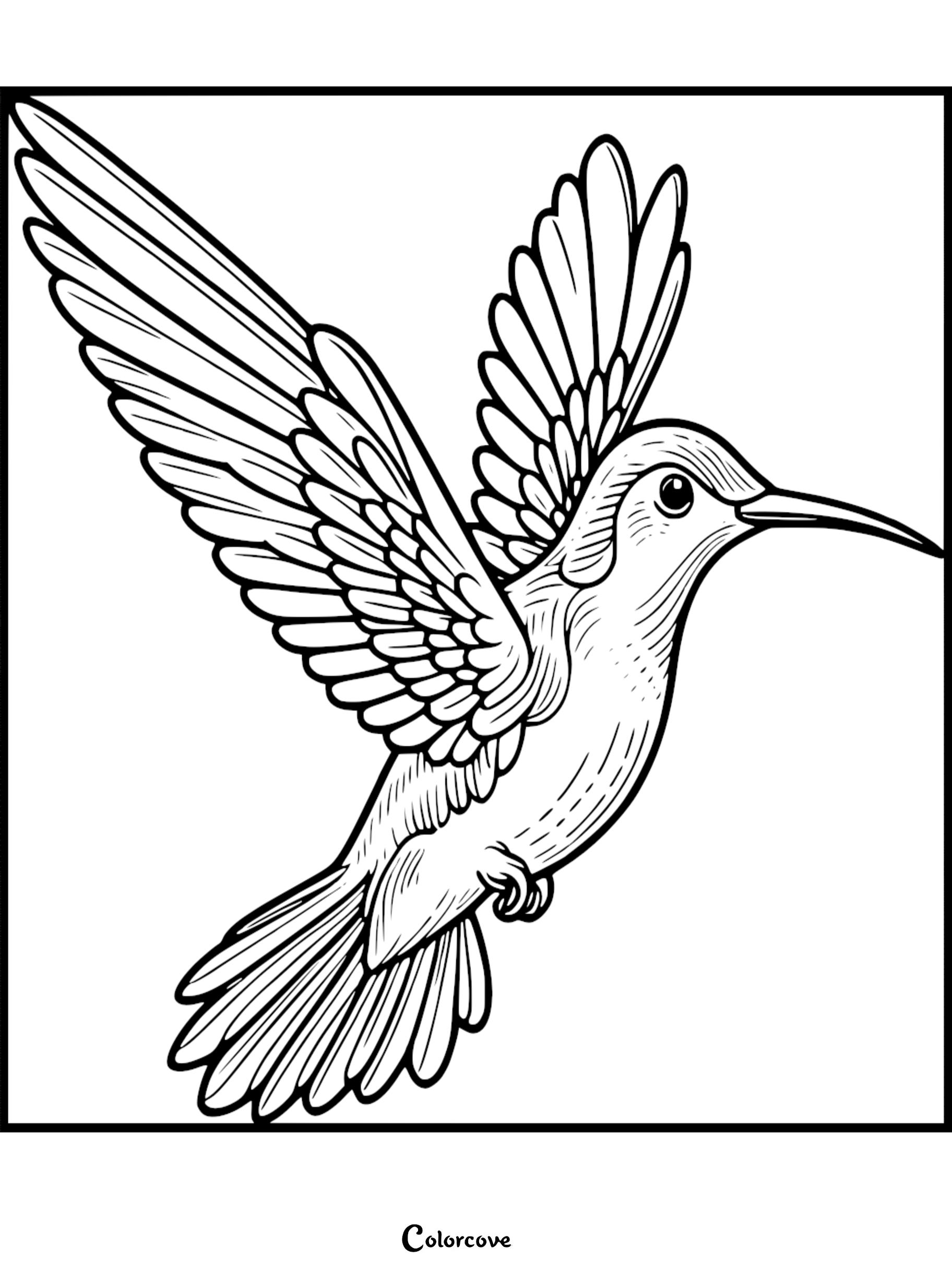Detailed hummingbird coloring page for kids and adults featuring a realistic bird in flight with spread wings.