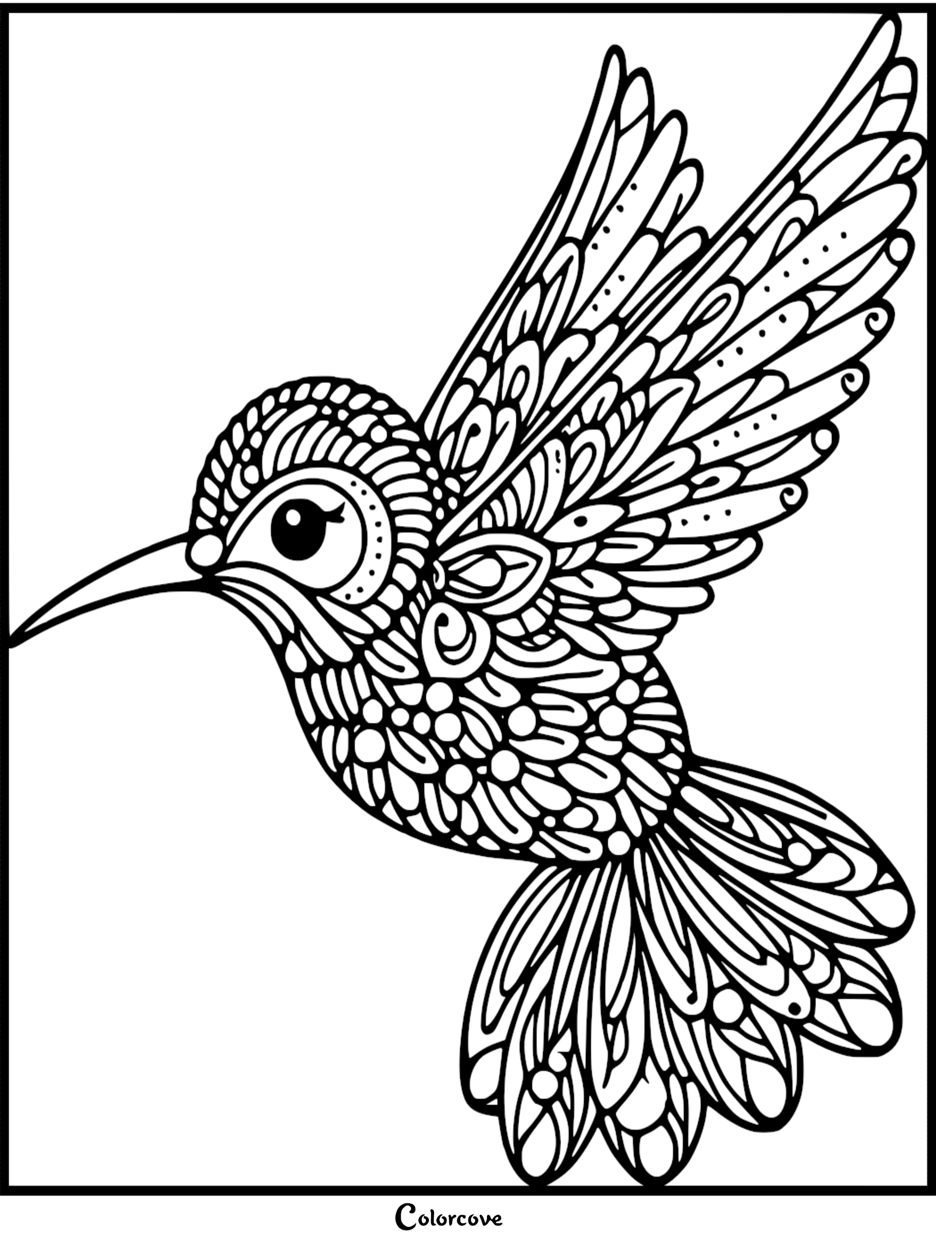 Intricate hummingbird mandala coloring page with detailed patterns and feathers for adults and kids.