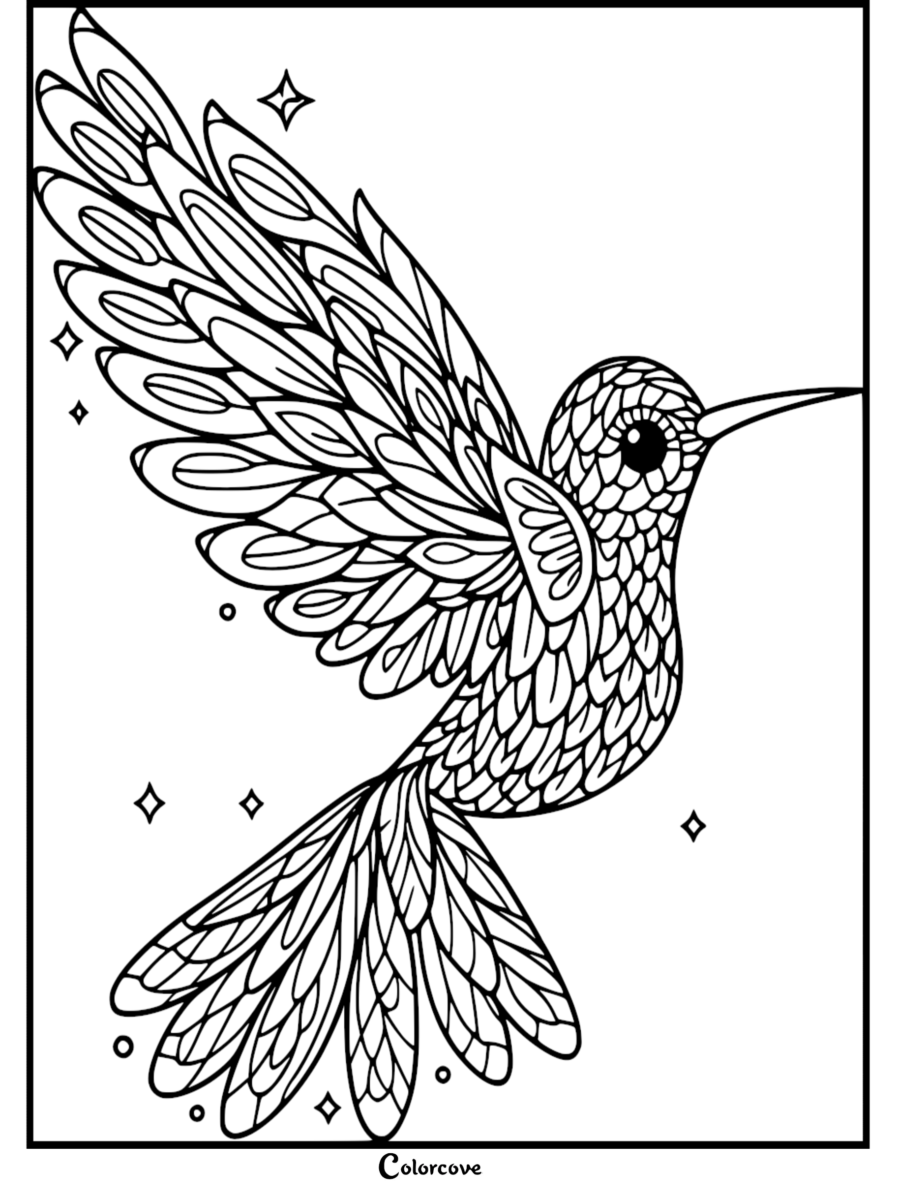 A detailed hummingbird in flight coloring page featuring intricate feather patterns and small stars for kids and adults.