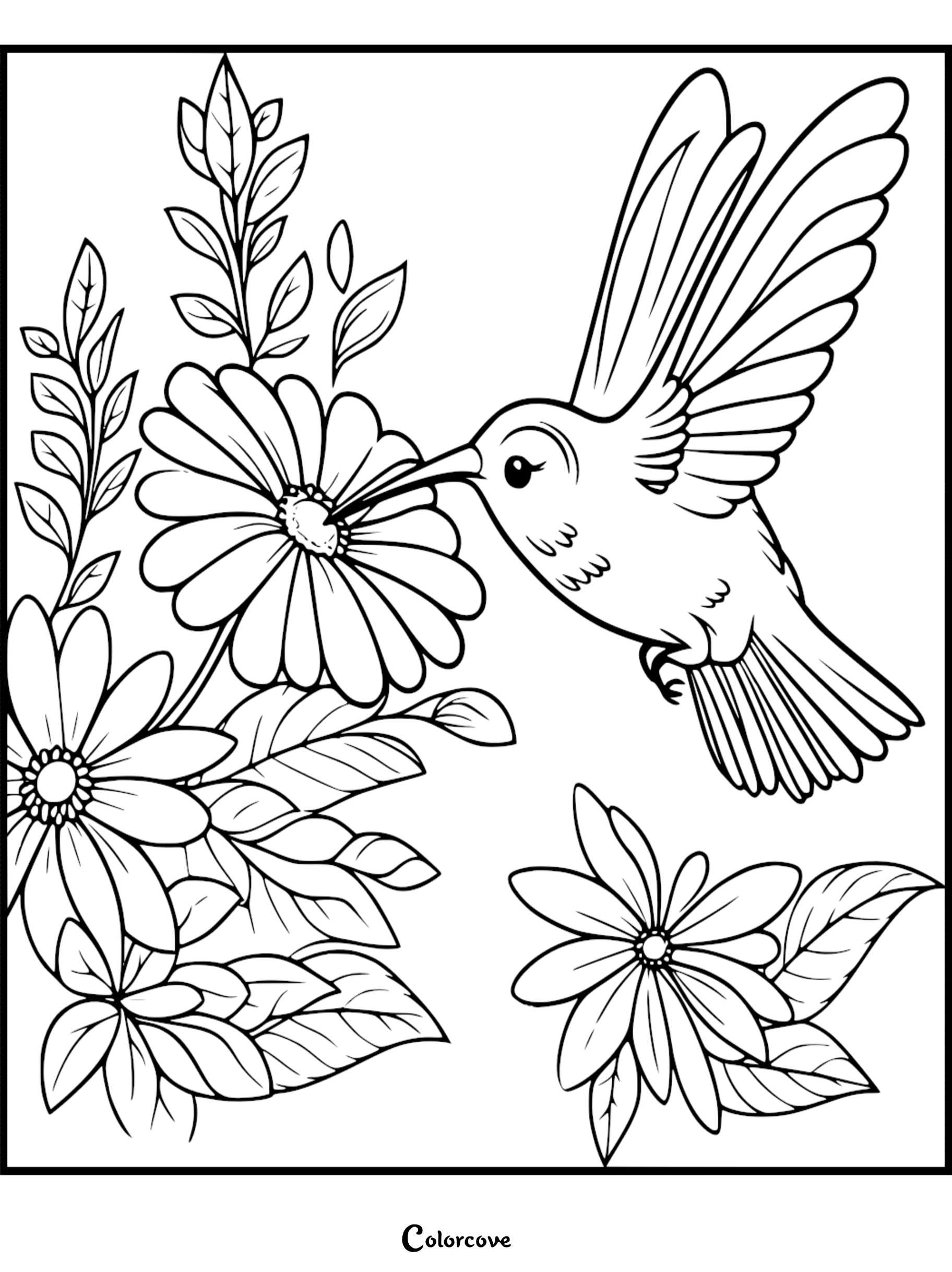 Detailed hummingbird and daisy flowers coloring page for kids and adults featuring a bird sipping nectar from a garden bloom.