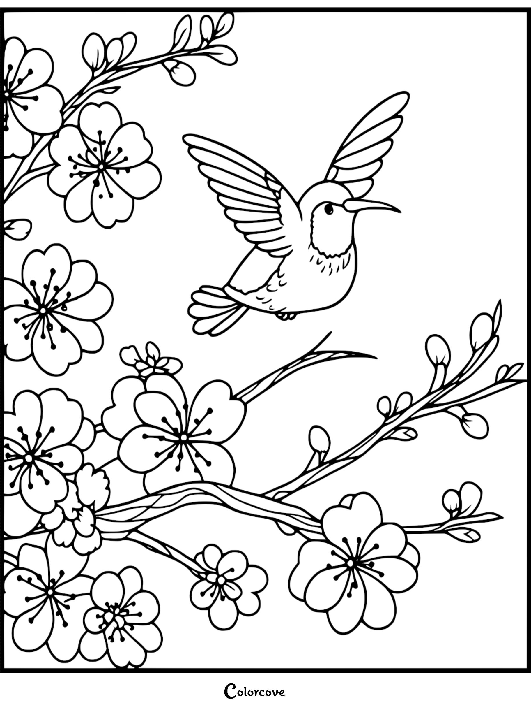 A beautiful hummingbird flying near delicate cherry blossom tree branches and spring flowers coloring page for kids and adults
