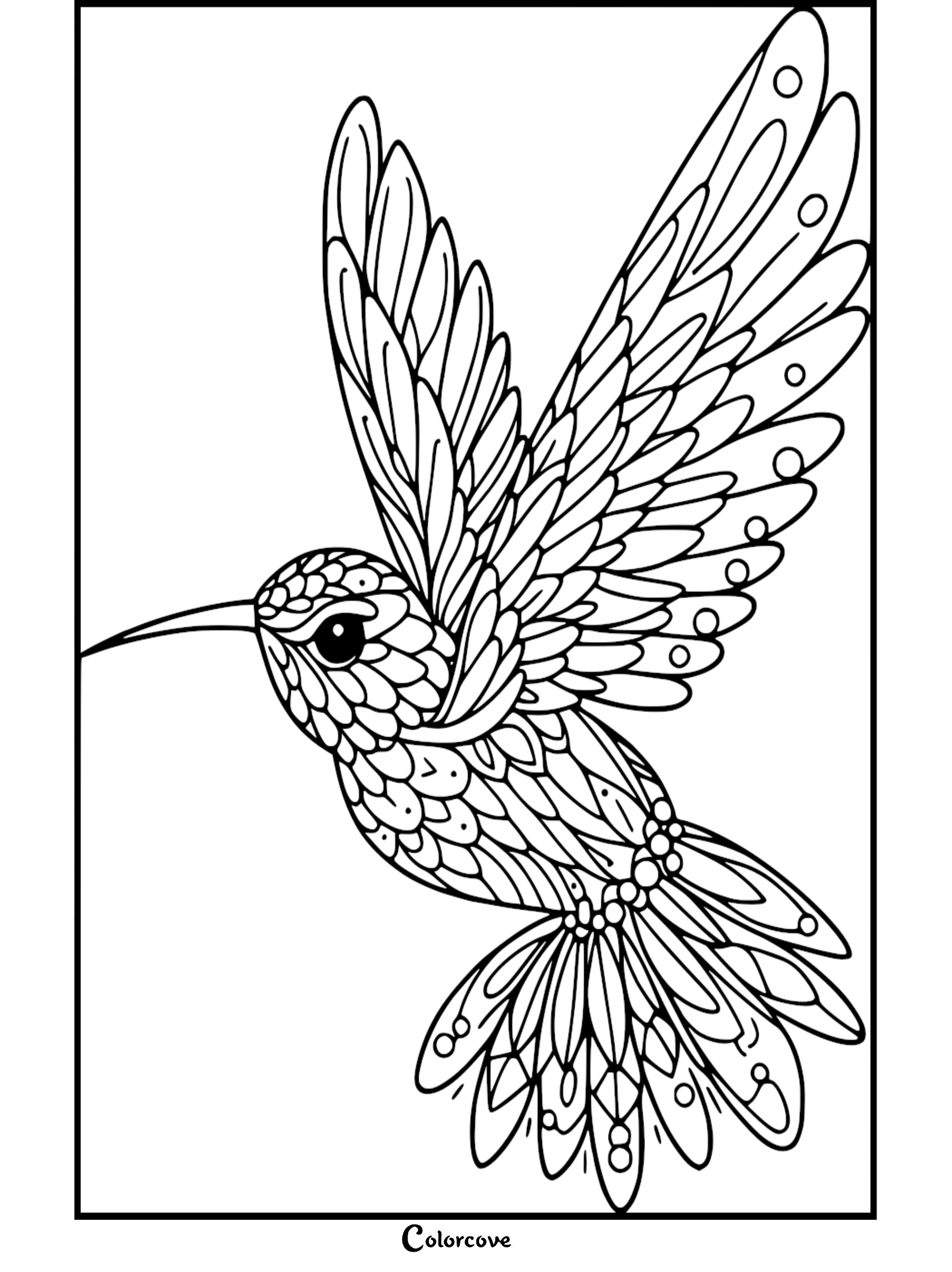 A detailed hummingbird coloring page featuring intricate patterns on feathers, perfect for adults and older children seeking a relaxing nature-themed art project.