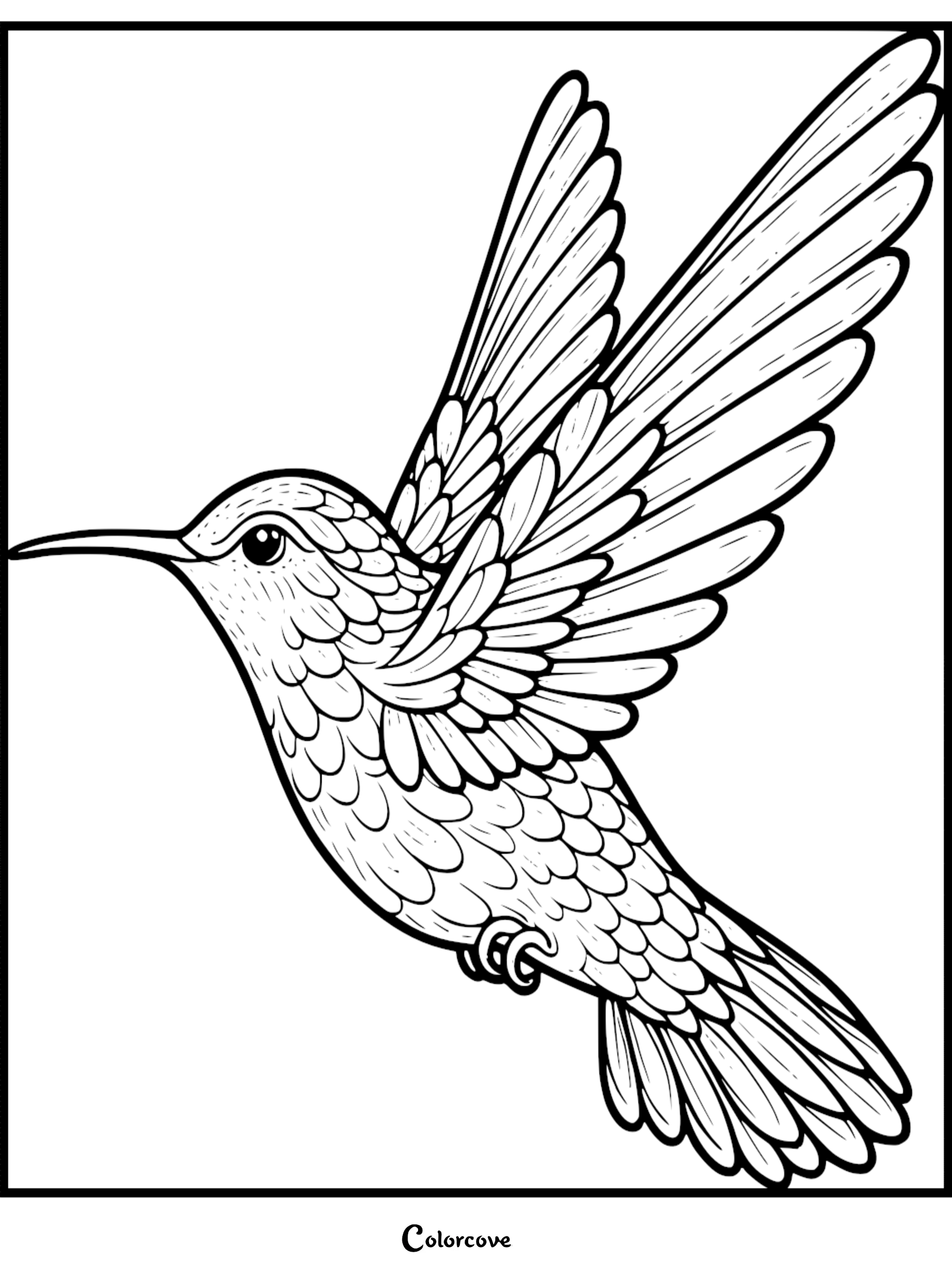 A detailed line art illustration of a hummingbird in flight, perfect for a free printable bird coloring page for kids and adults.