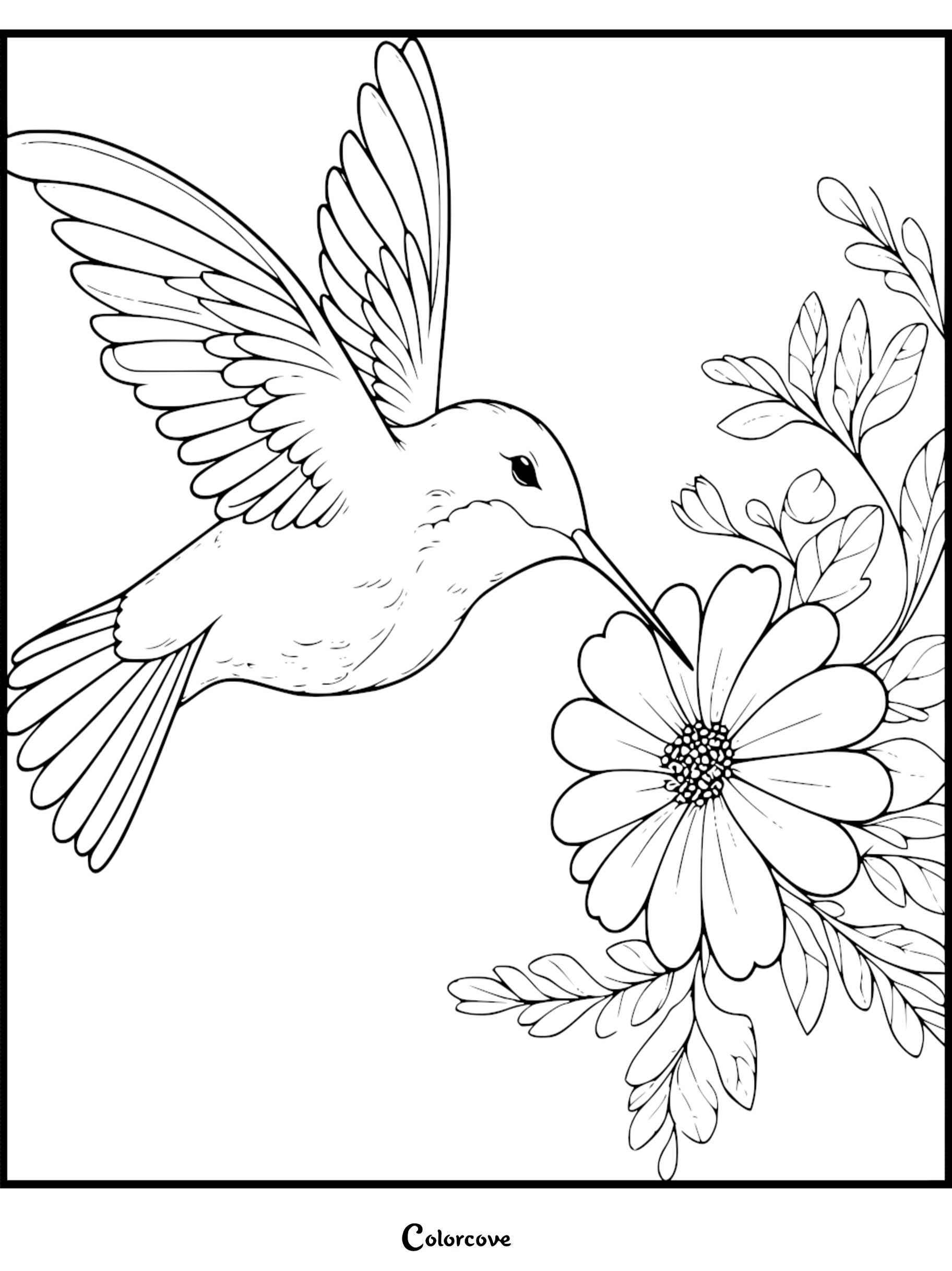 Detailed hummingbird and flower coloring page for kids and adults featuring a bird drinking nectar from a daisy.
