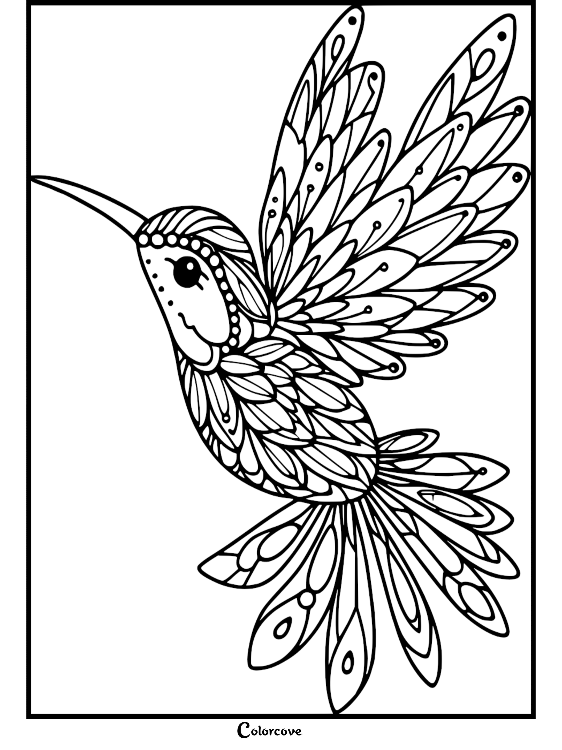 Detailed hummingbird coloring page with mandala-style patterns and feathers for adults and children.