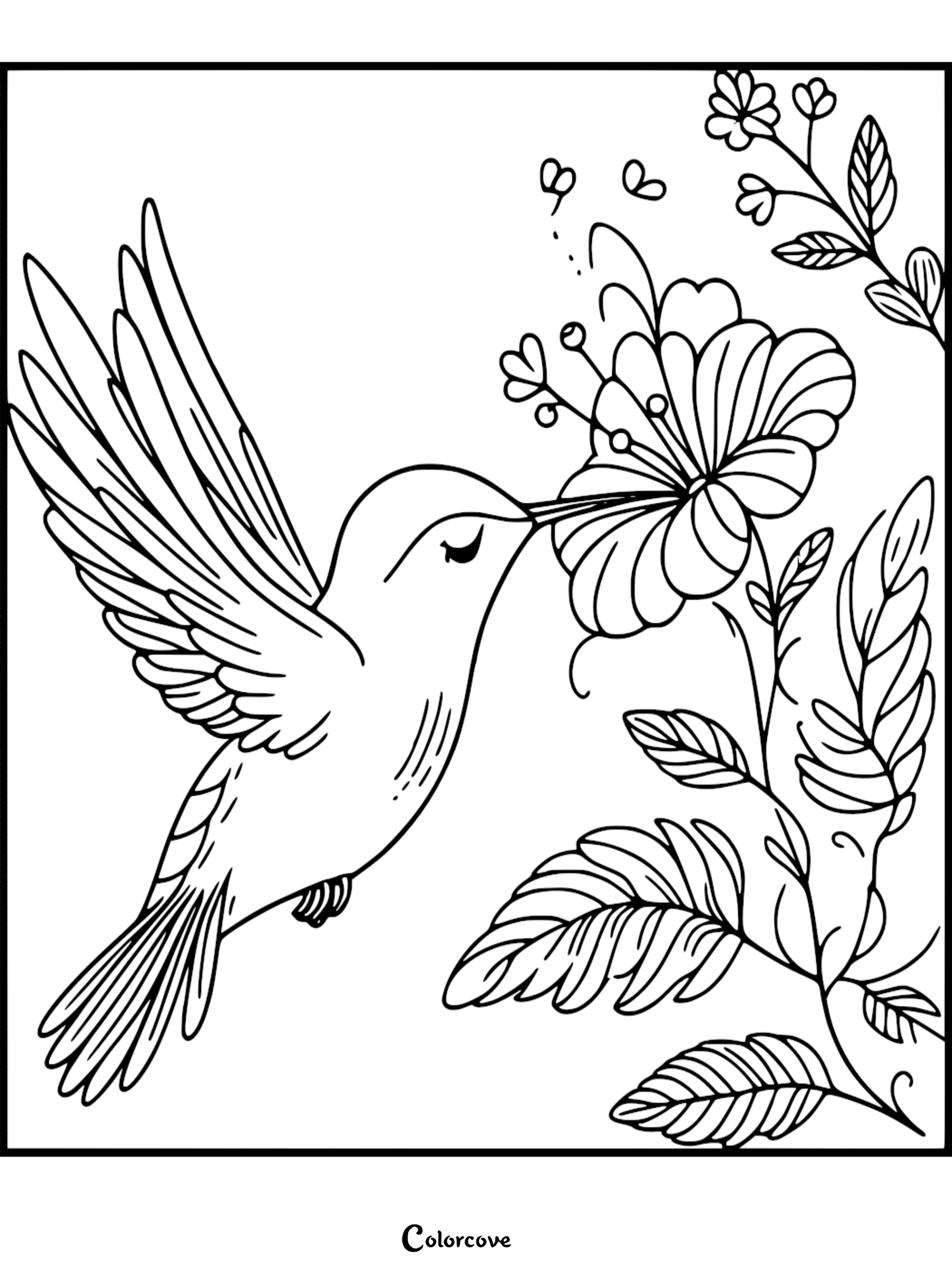 A beautiful hummingbird drinking nectar from a large flower coloring page for kids and adults.