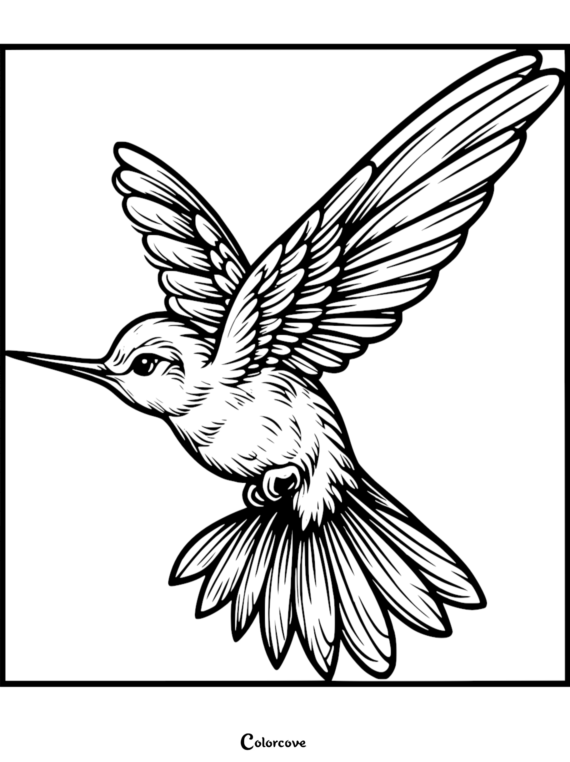 A detailed hummingbird in flight coloring page for kids and adults featuring intricate feather patterns for a creative nature-themed activity.