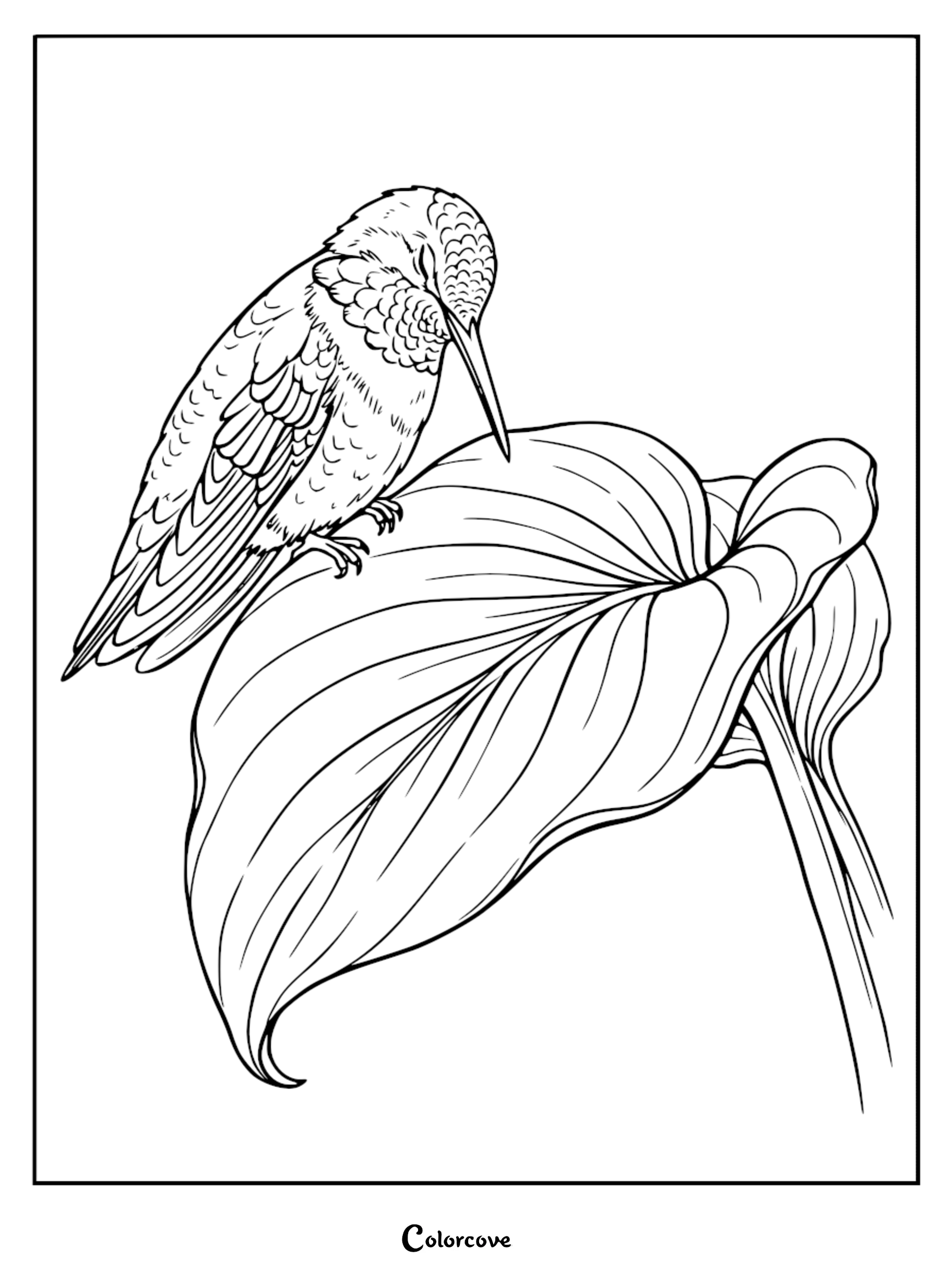 Bring nature to life with this beautiful hummingbird perched on a leaf coloring page, perfect for bird lovers of all ages. Download or print this free sheet to enjoy a relaxing creative activity that highlights the delicate details of wildlife.