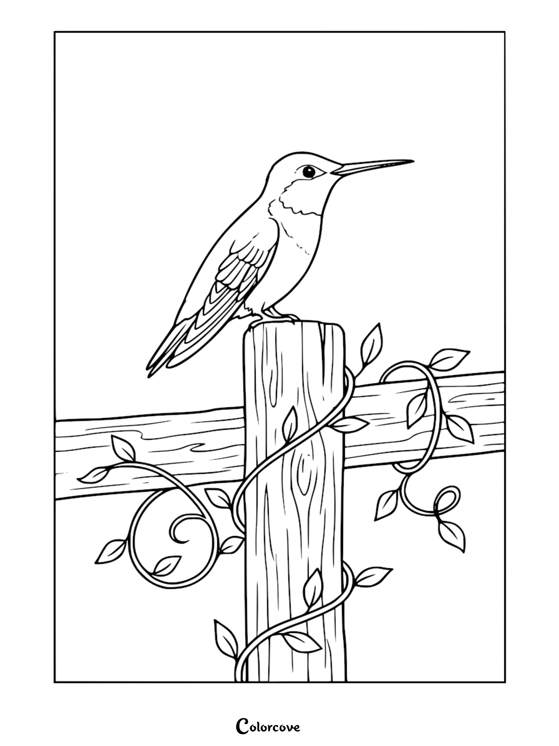 Download this beautiful hummingbird coloring page featuring a tiny bird resting on a garden fence post. Perfect for nature lovers, this free printable is ready for your favorite colors and creative touch.