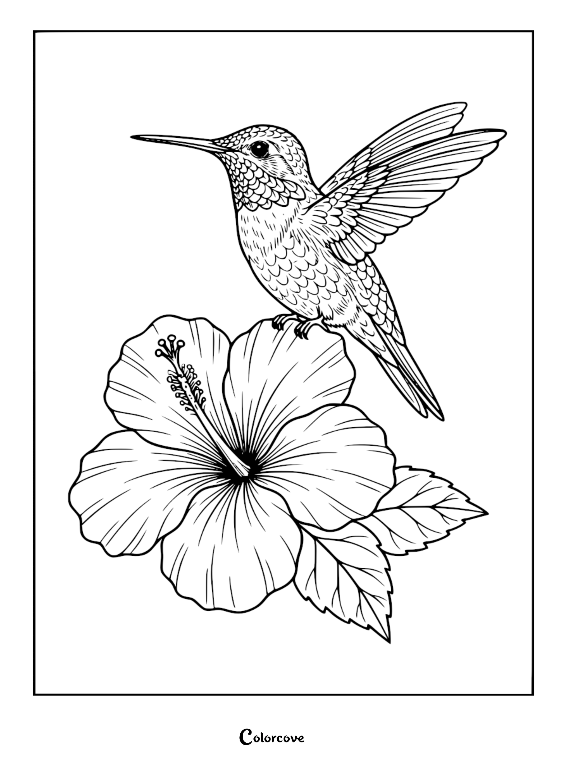 Bring nature to life with this beautiful hummingbird and hibiscus flower coloring page, perfect for relaxation and creativity. This high-quality, free printable sheet is ready to download and color in seconds.