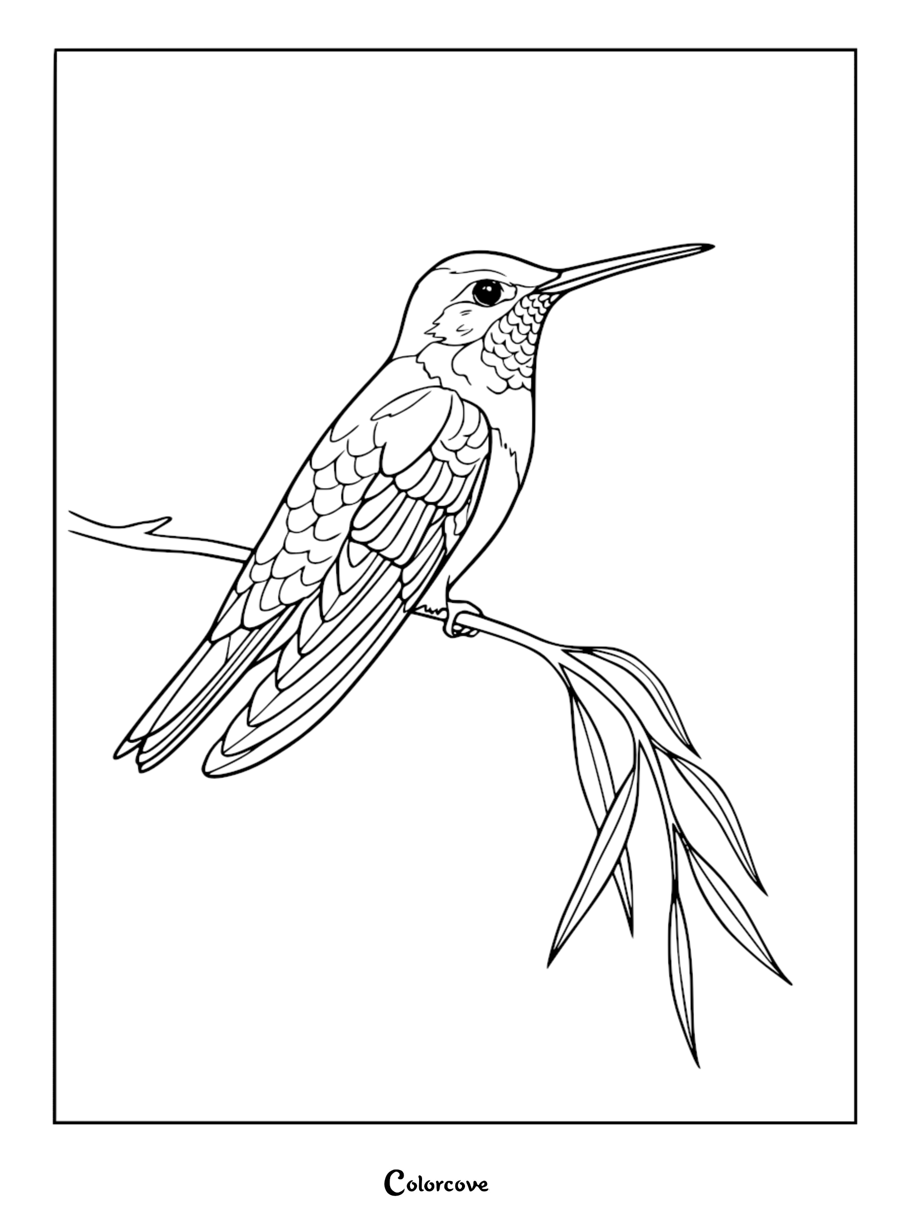 Bring nature's smallest gem to life with this detailed hummingbird coloring page, featuring a bird perched peacefully on a branch. This free printable is ideal for kids and adults who enjoy birdwatching and creative art.