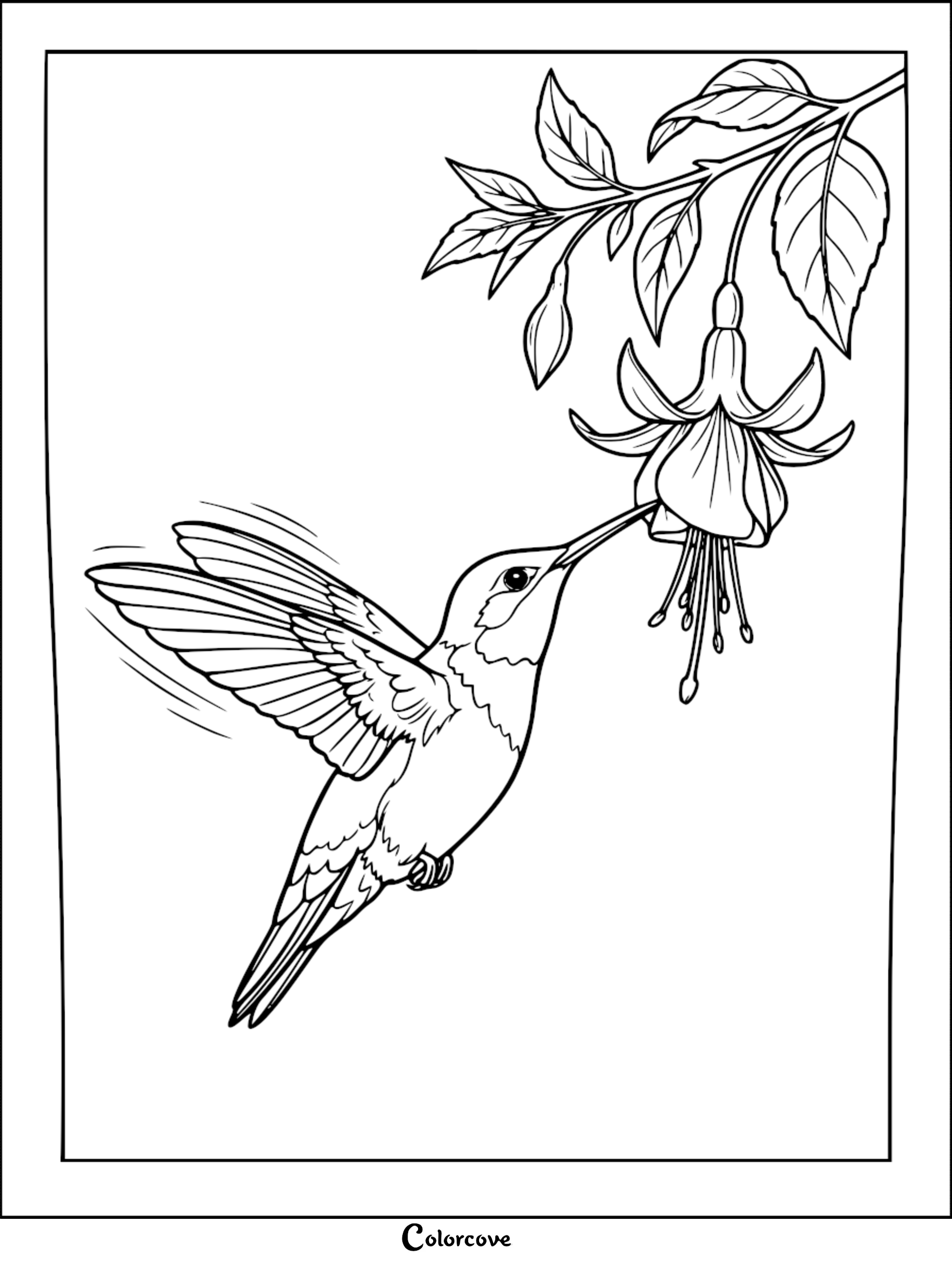 Download and print this free hummingbird coloring page featuring a graceful bird mid-flight feeding on a beautiful flower. This detailed line art is perfect for kids and adults looking for a relaxing nature-themed creative activity.