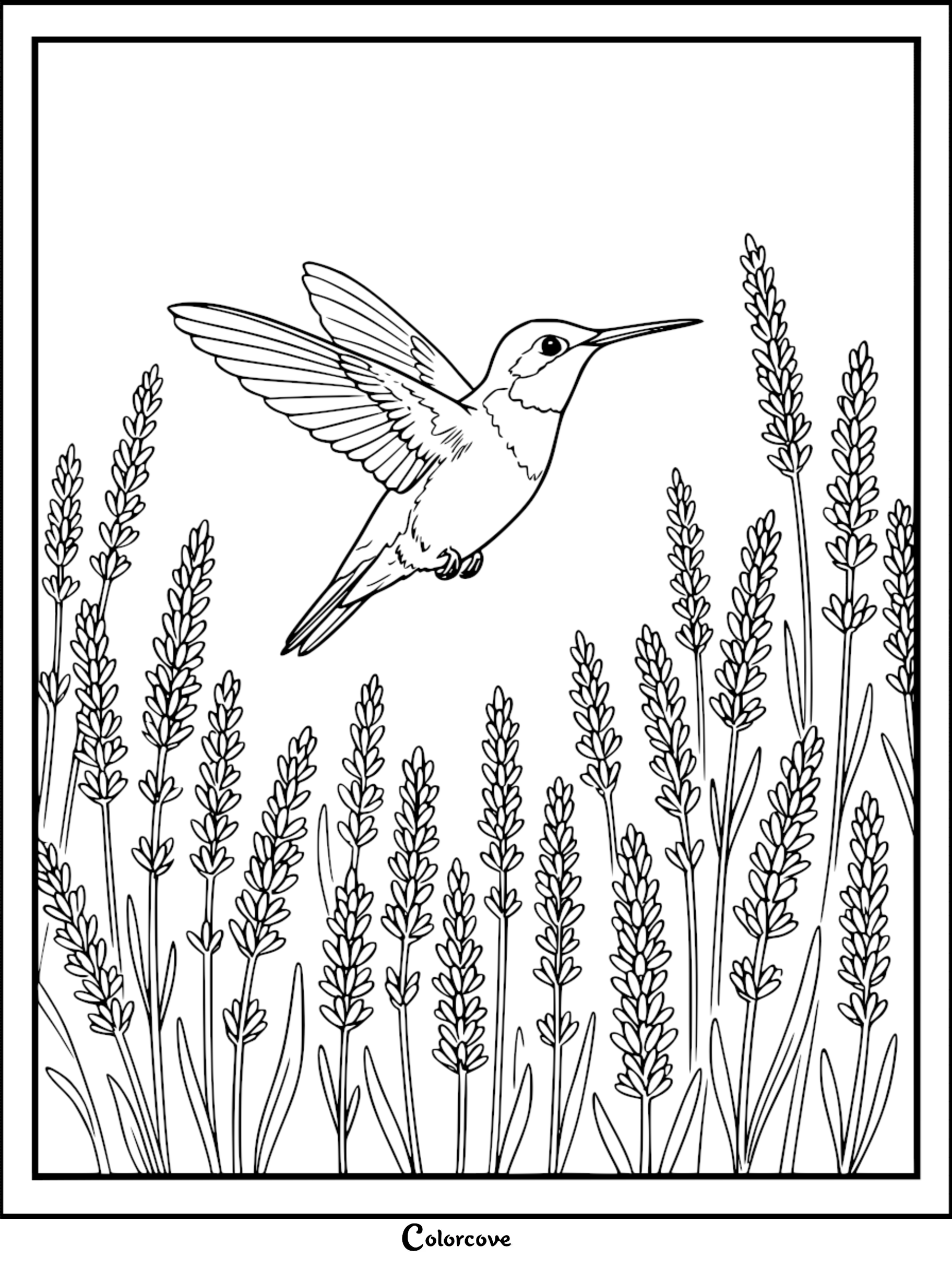 Bring nature to life with this beautiful hummingbird and lavender coloring page, perfect for bird lovers of all ages. This free printable offers a relaxing and creative way to explore the beauty of hummingbirds in flight.