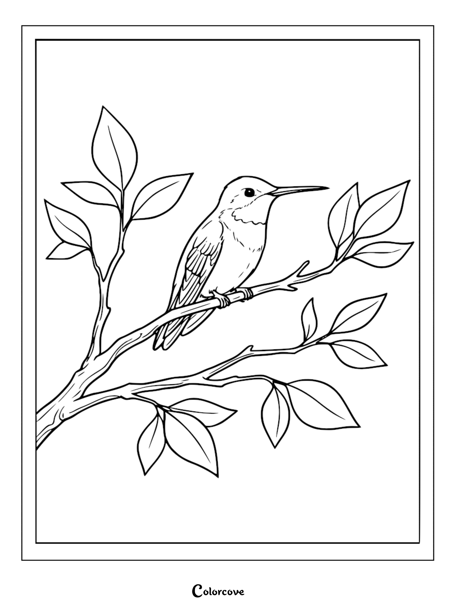 Bring this peaceful hummingbird to life with our free printable coloring page featuring a tiny bird resting on a branch. Perfect for nature lovers, this high-quality coloring sheet is easy to download and print in seconds.