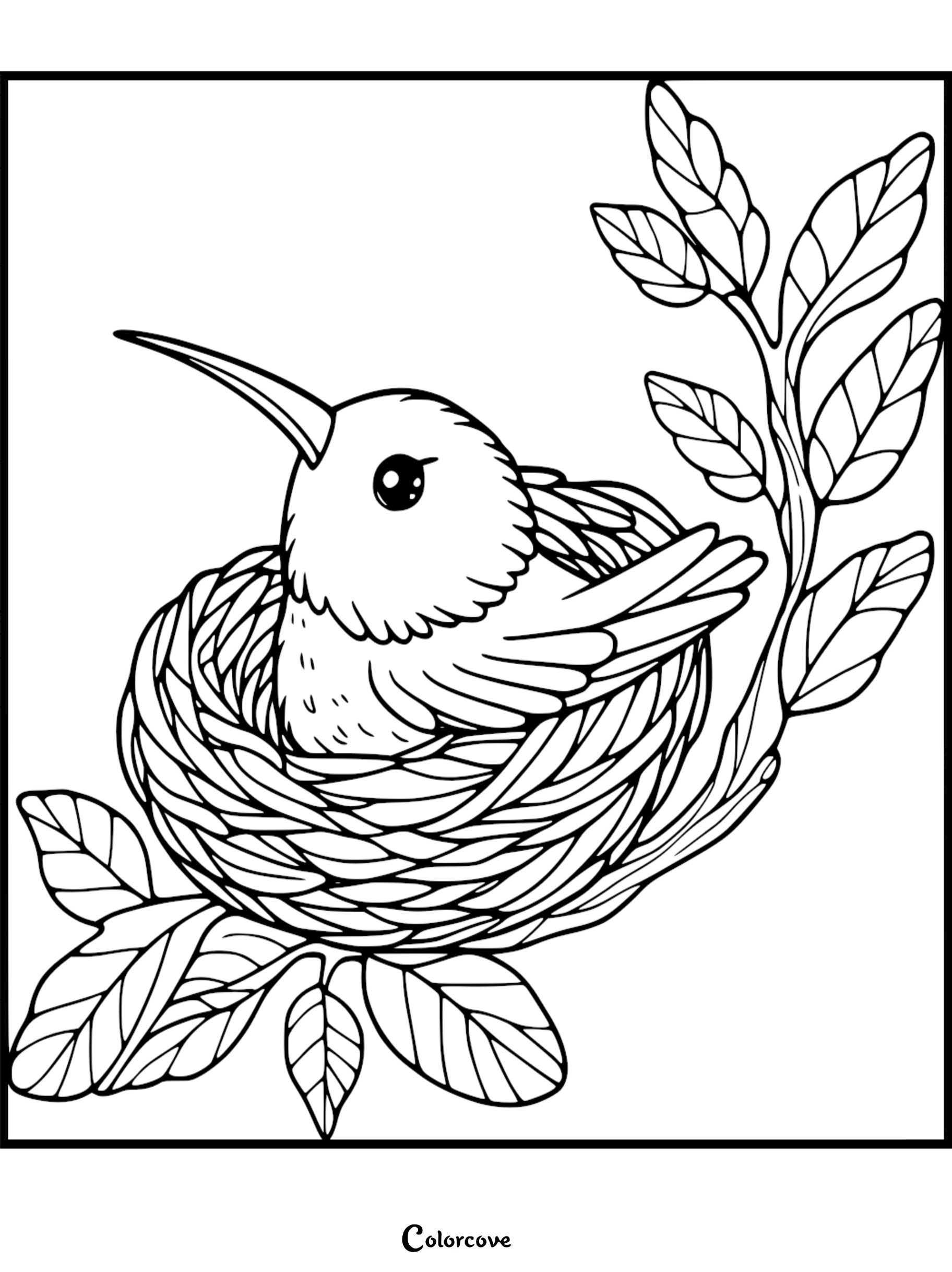 A charming line art illustration of a cute hummingbird sitting in a bird's nest on a leafy branch for kids to color.