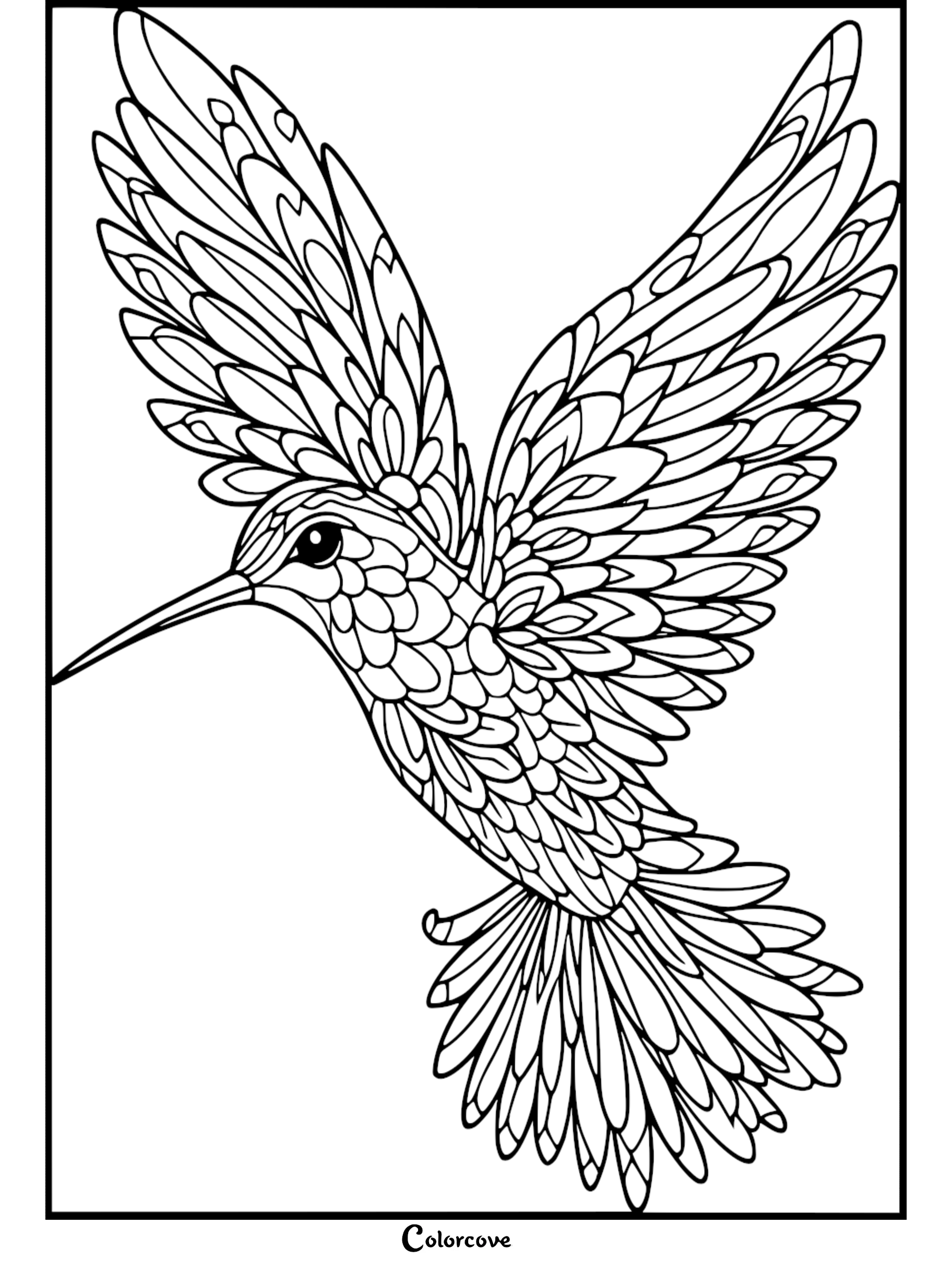 Detailed hummingbird coloring page for adults and kids featuring intricate feather patterns for a relaxing bird art activity.