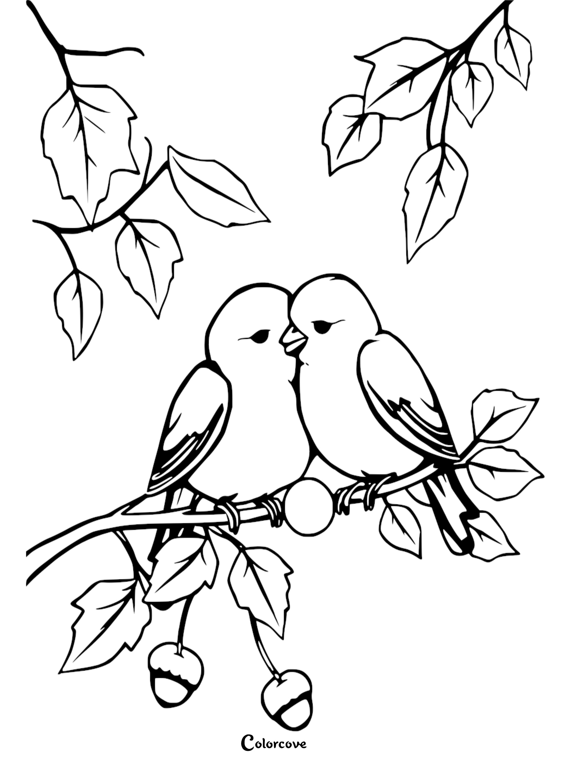 A sweet coloring page featuring two cute lovebirds sitting close together on a tree branch surrounded by leaves and acorns.