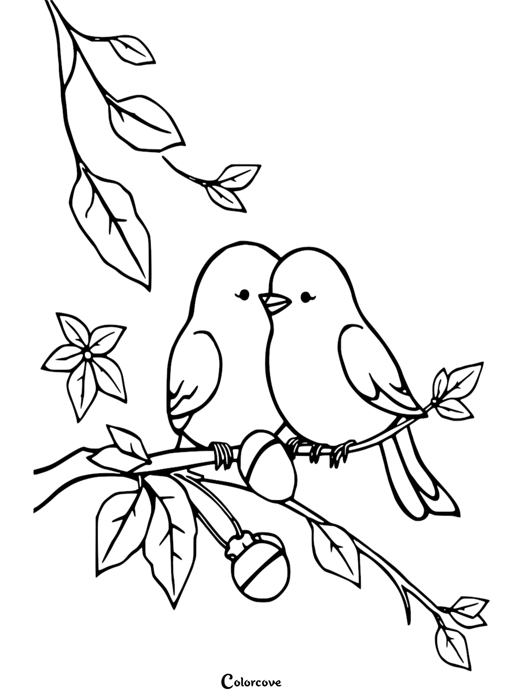 A sweet line drawing of two small birds perched on a leafy tree branch, perfect for a free printable nature coloring activity for kids.