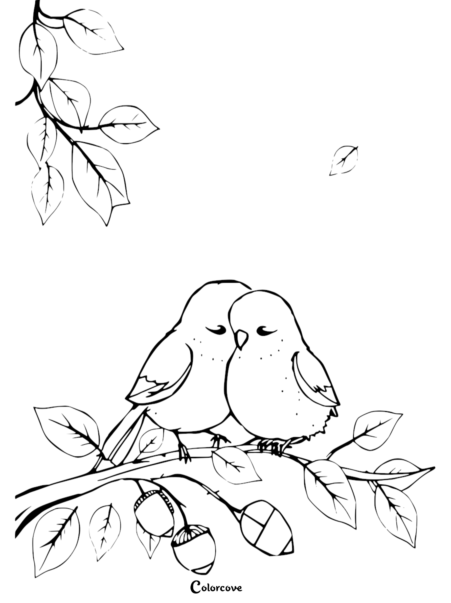 Sweet printable bird coloring page for kids featuring two small birds perched together on a leafy tree branch with acorns.
