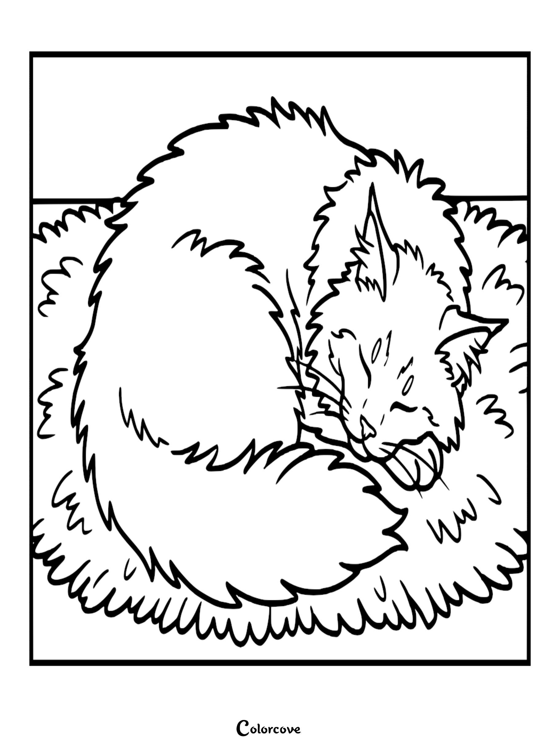 A printable coloring page featuring a fluffy Maine Coon cat curled up and sleeping peacefully, perfect for cat lovers.