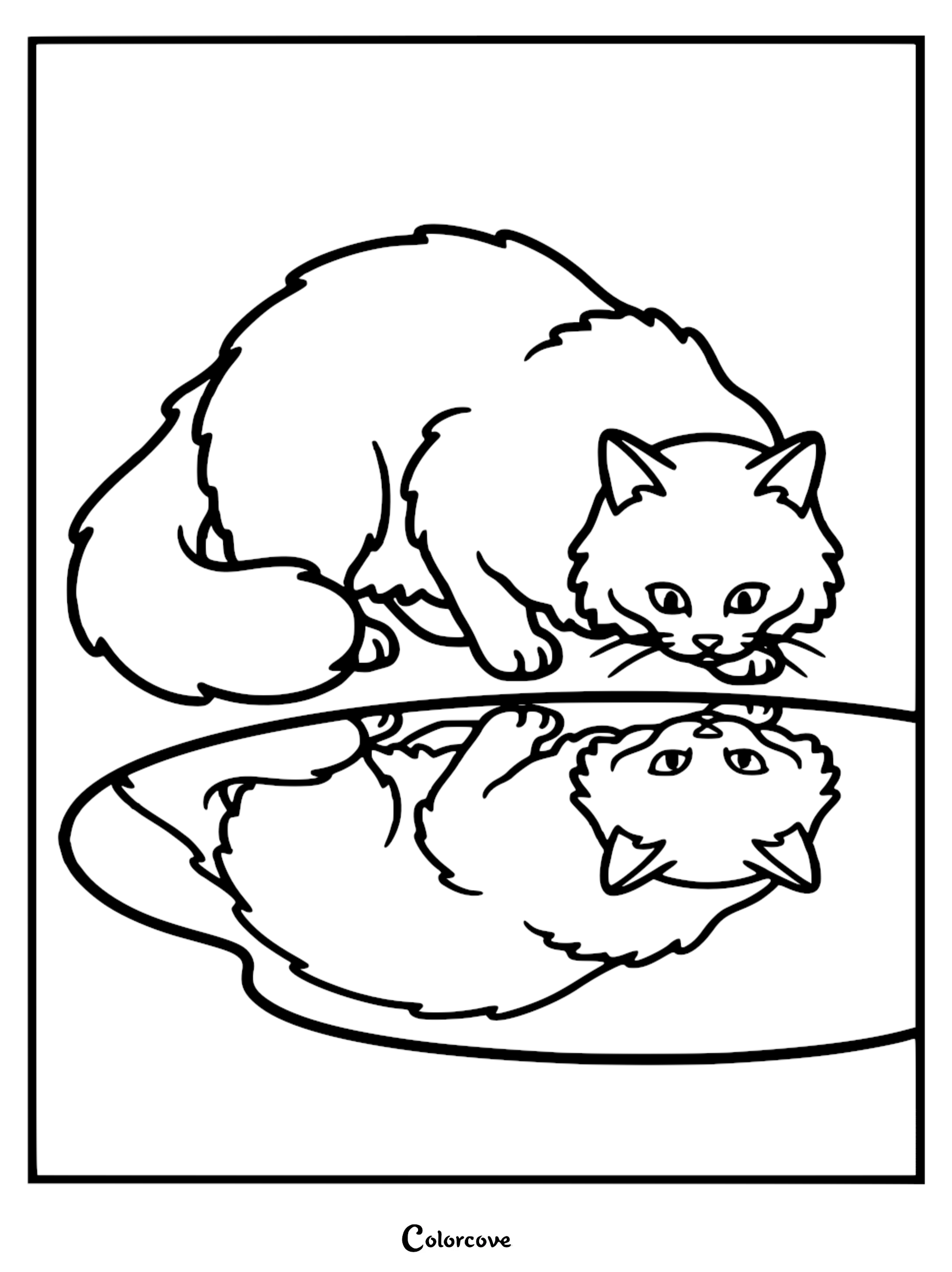 A fluffy Maine Coon cat looking at its own reflection in a puddle, perfect for an animal themed coloring page.