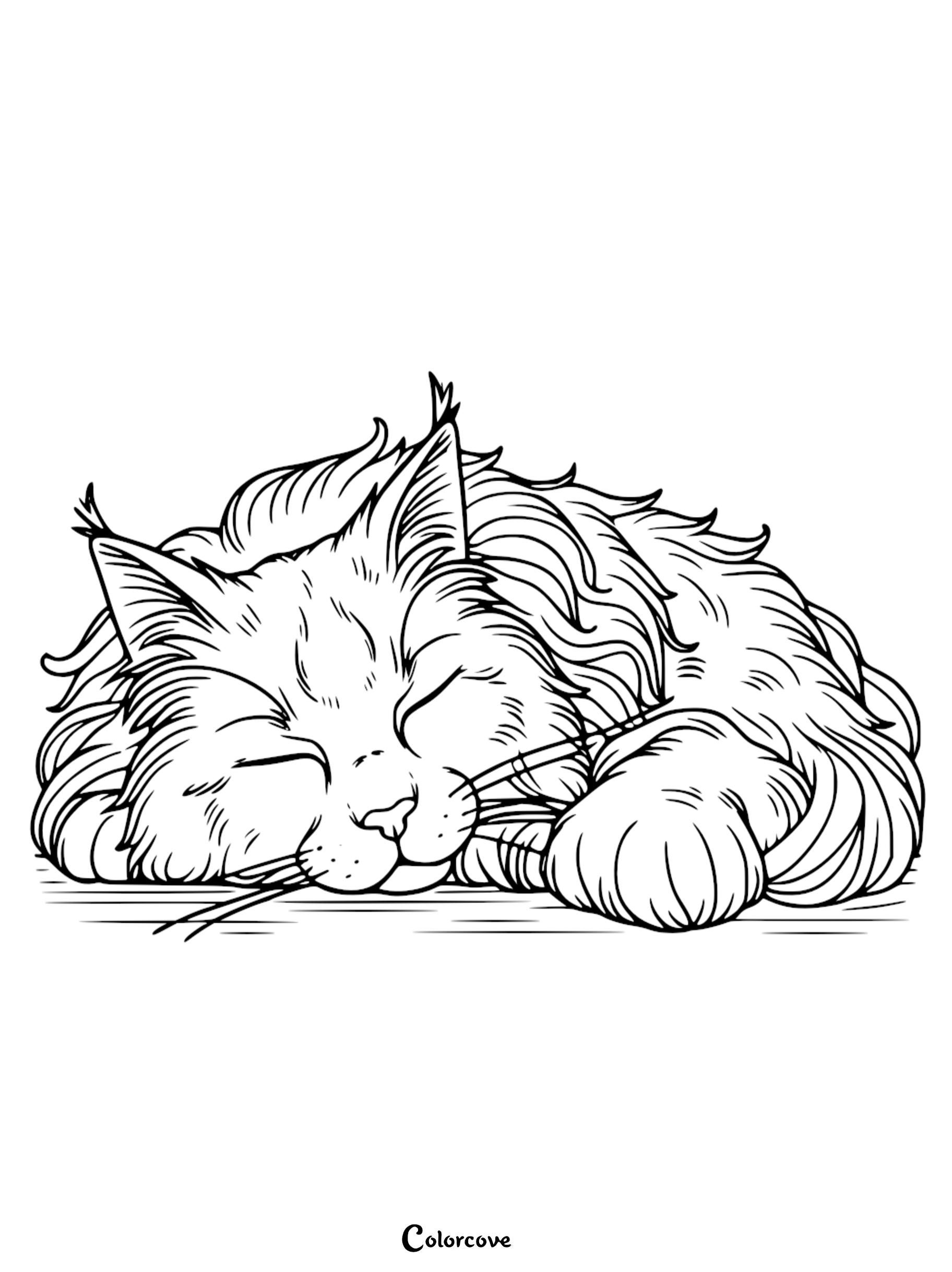 A detailed coloring page of a cute, fluffy Maine Coon cat sleeping peacefully, perfect for kids and adults to print and color.