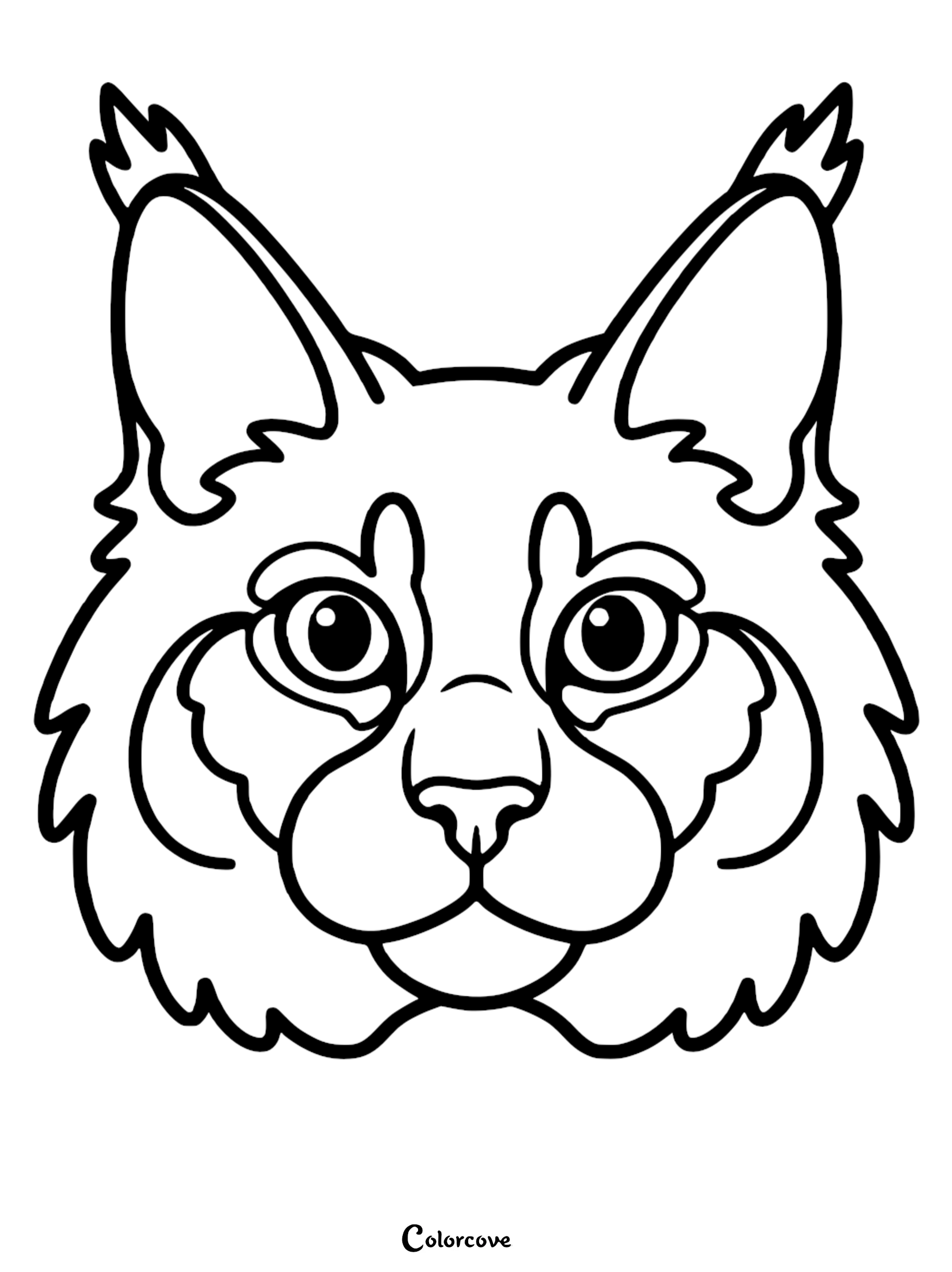 A printable Maine Coon cat face coloring page for kids featuring the breed's distinct tufted ears and fluffy fur.