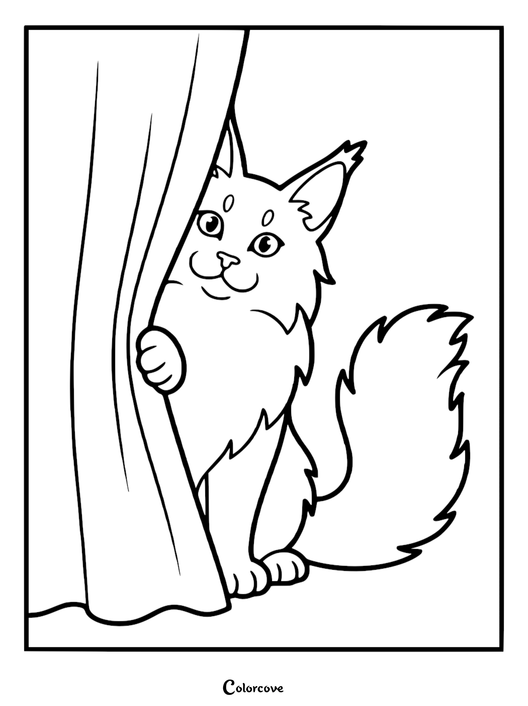 A cute Maine Coon kitten peeking from behind a curtain in this printable coloring page for cat lovers.