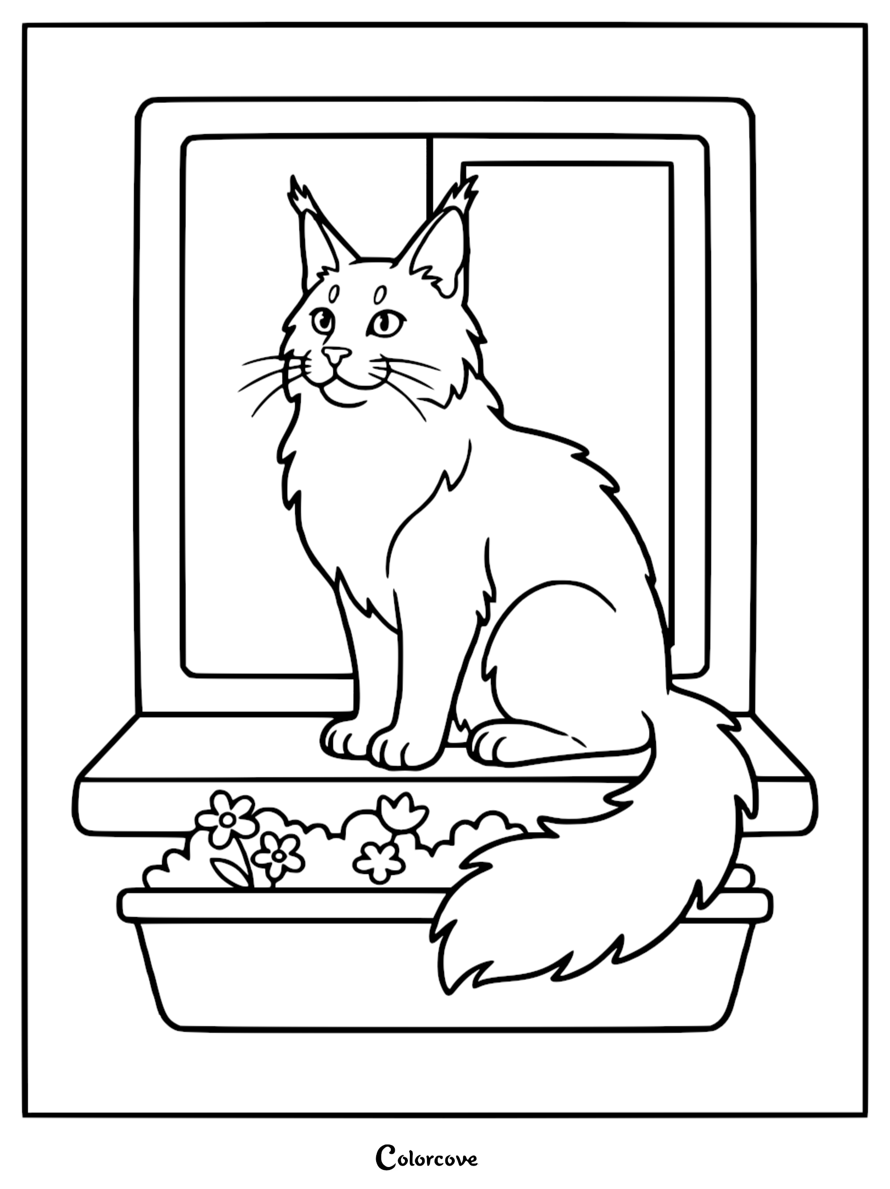 A beautiful Maine Coon cat sitting on a sunny windowsill with flowers, perfect for a printable coloring page.