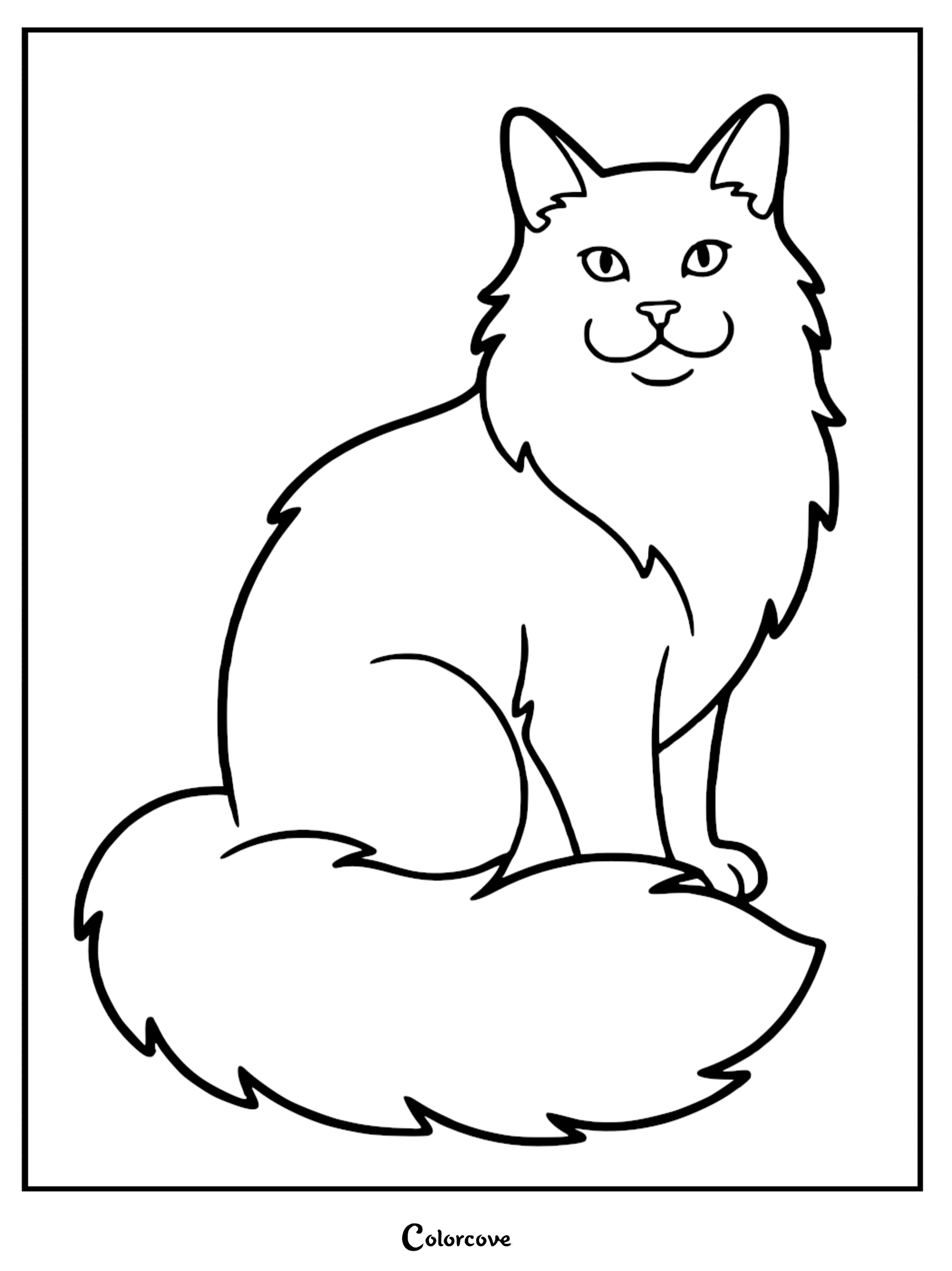 A detailed Maine Coon cat coloring page for kids and adults featuring a long-haired cat with a fluffy tail.