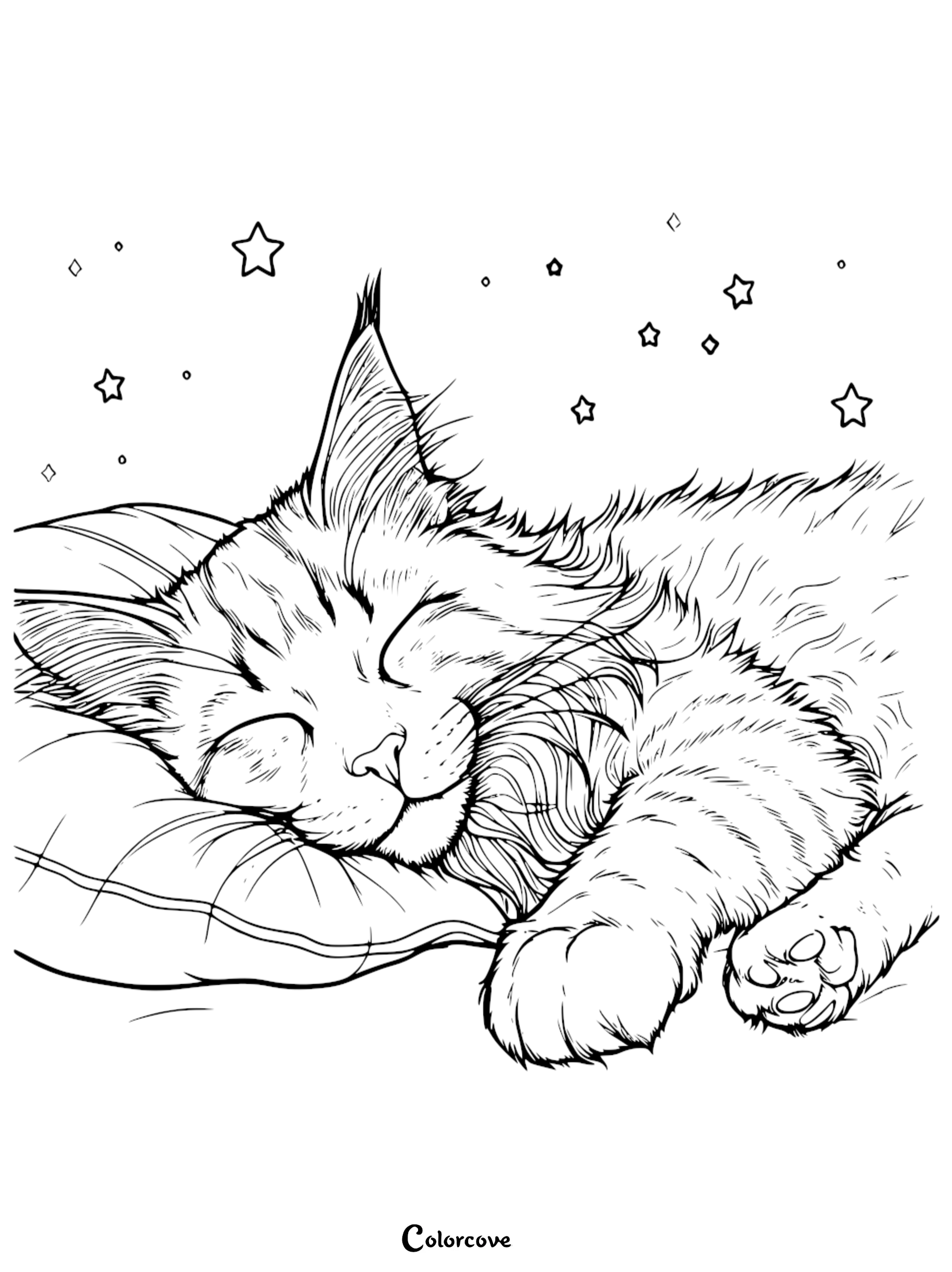 A detailed coloring page of a cute fluffy cat sleeping peacefully on a pillow under the stars for kids and adults.
