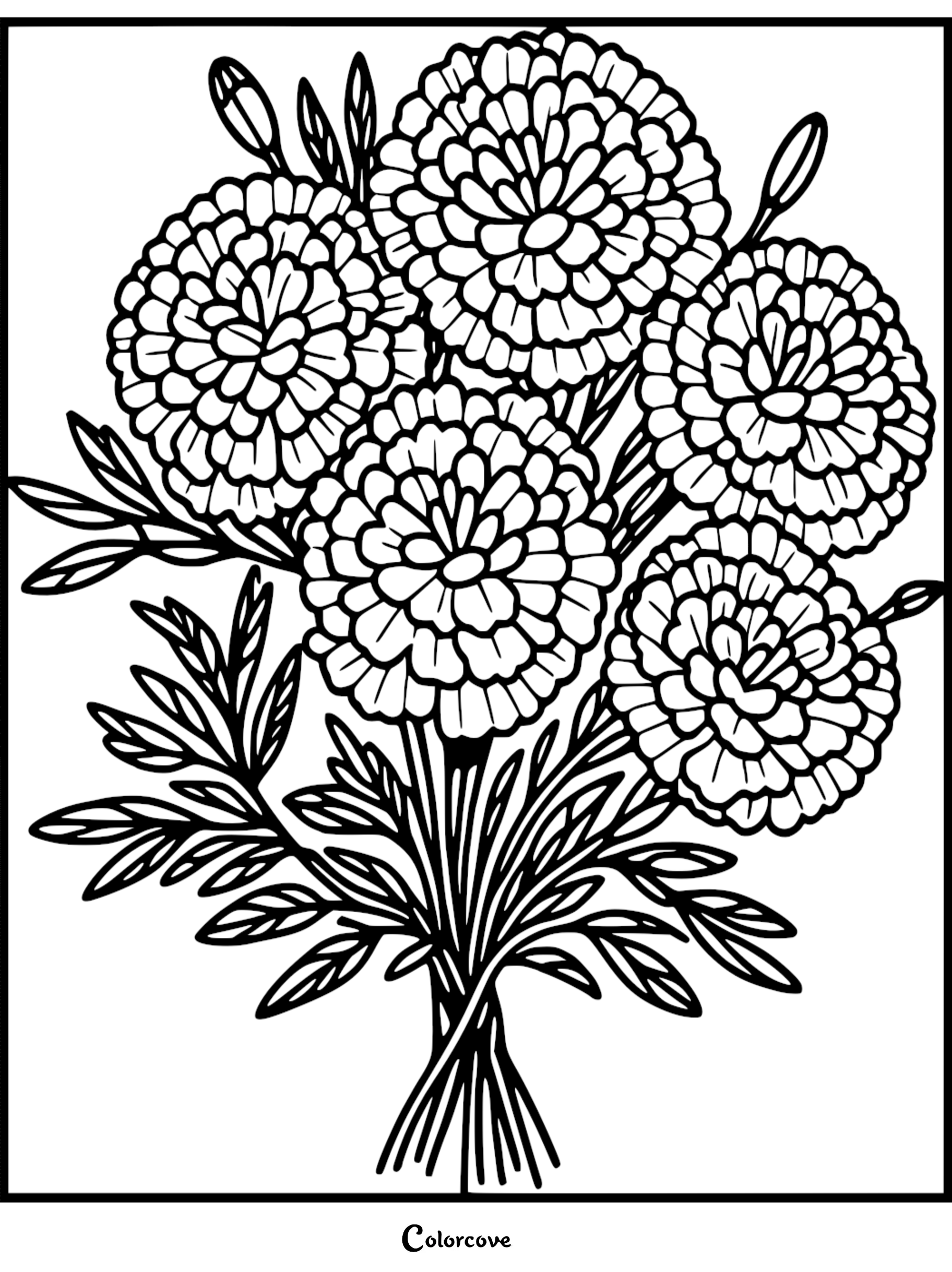 Marigold flower bouquet coloring page for relaxation and creativity. Printable floral design.