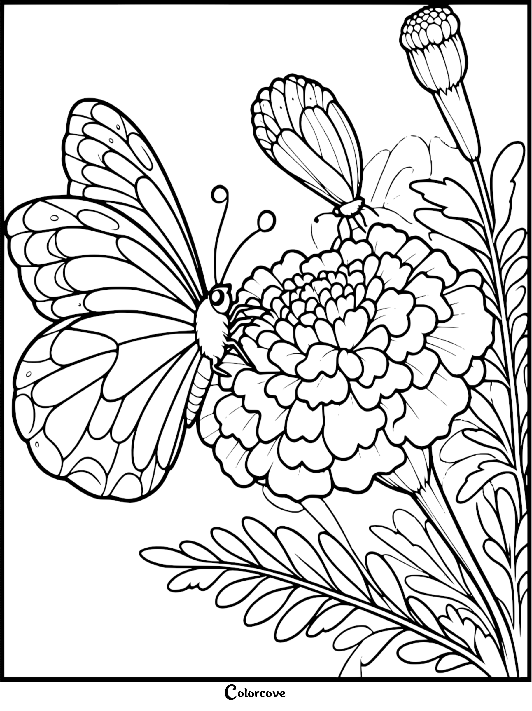 Butterfly on flower coloring page for kids and adults, intricate floral design with butterfly outlines.