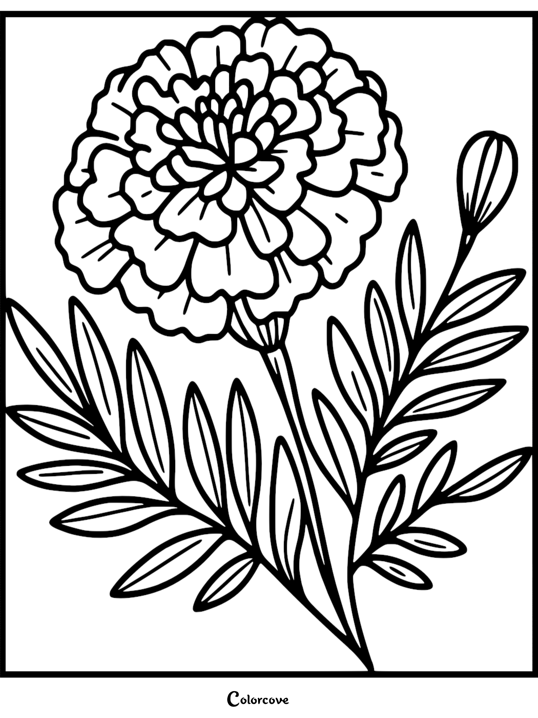 Flower coloring page with detailed petals and leaves, perfect for relaxation and creativity activities.