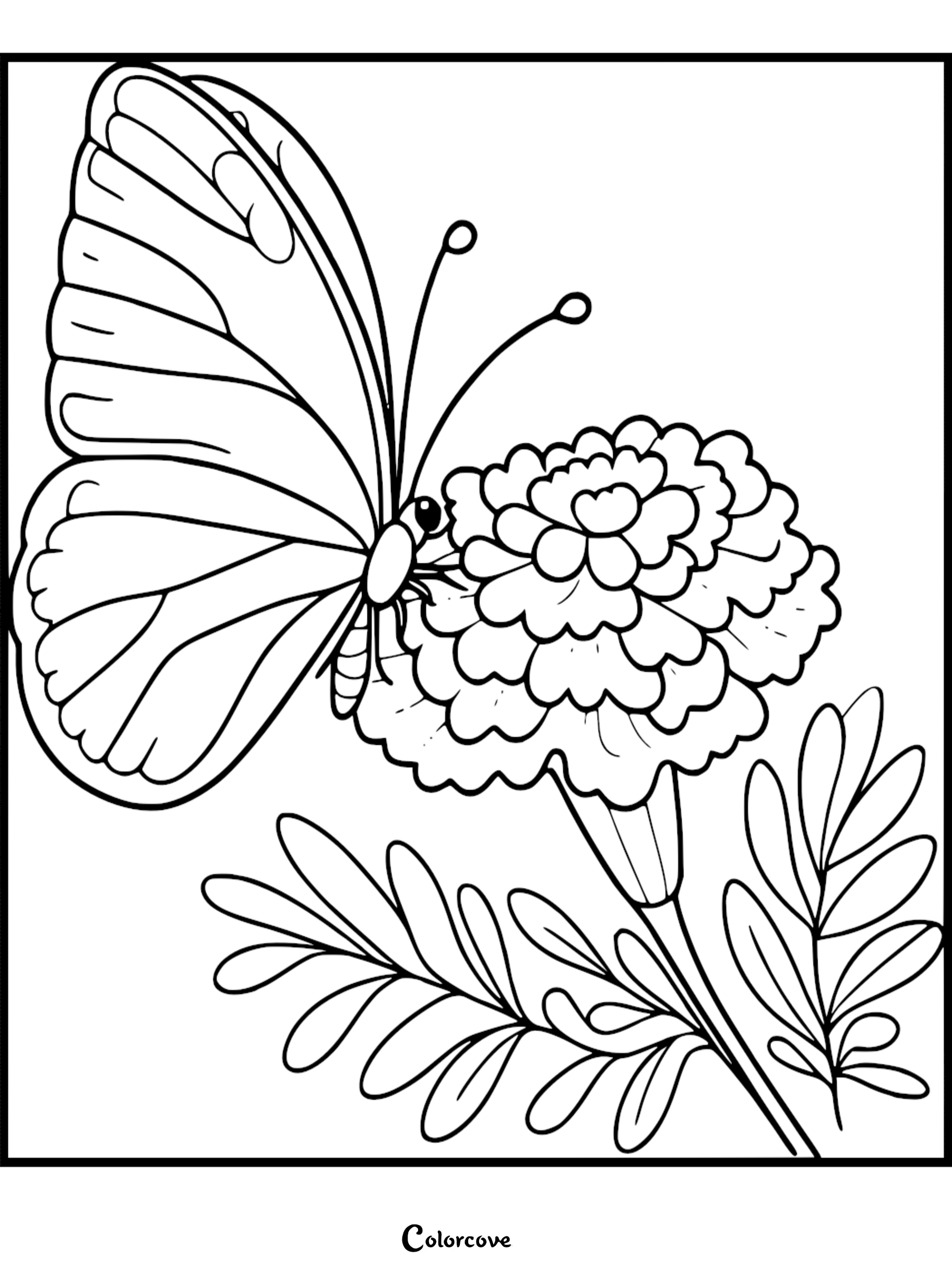 Butterfly on a marigold flower coloring page for kids and adults. Printable nature-themed art from ColorCove.org.