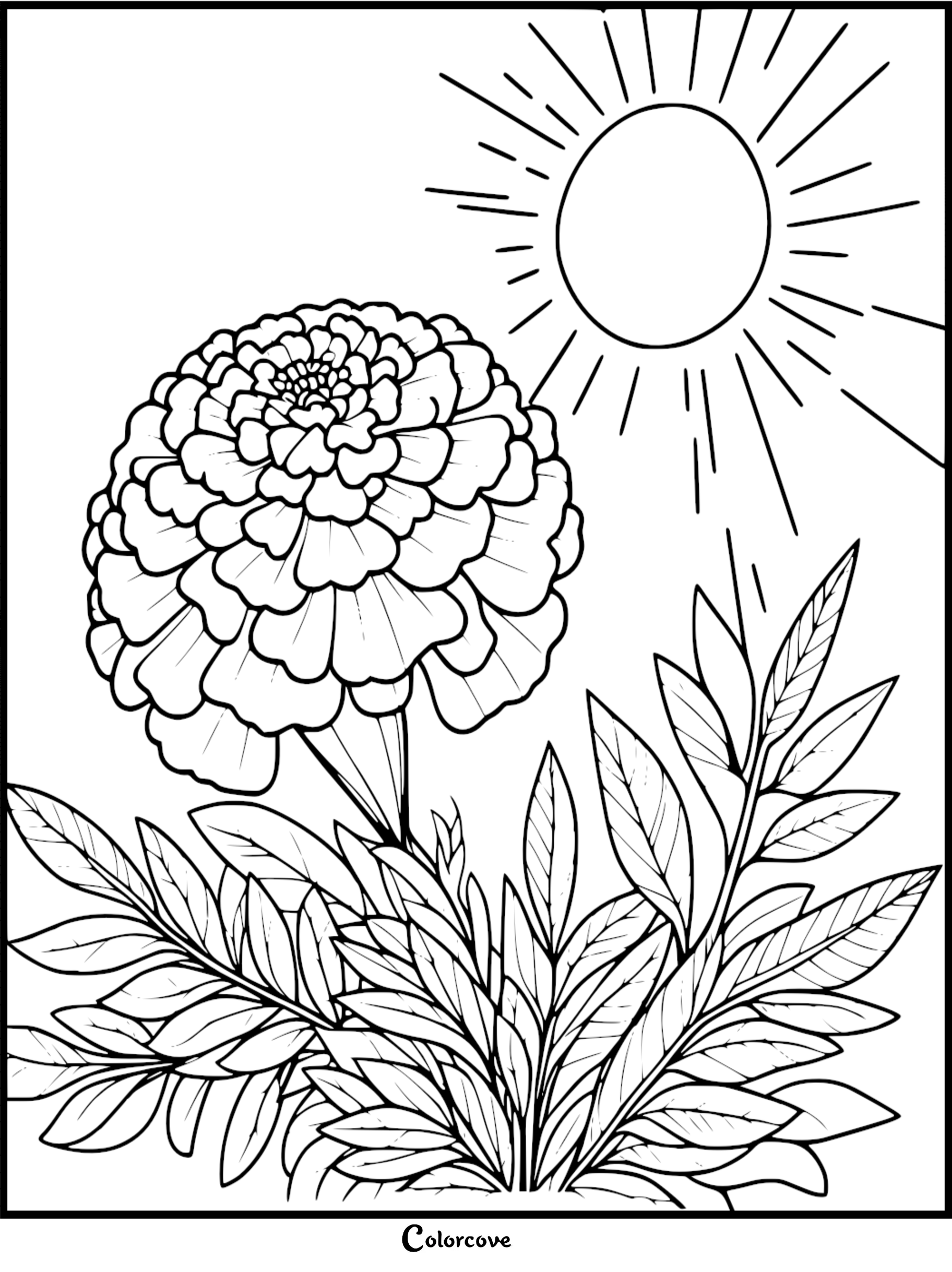 Flower and sun coloring page with detailed petals and leaves, perfect for creative relaxation and stress relief.