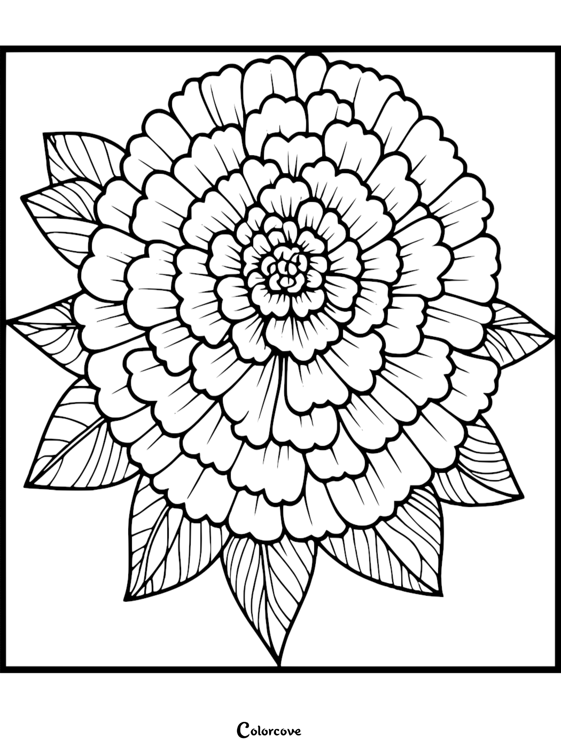 Detailed flower coloring page featuring layered petals and leaves for mindfulness and relaxation.