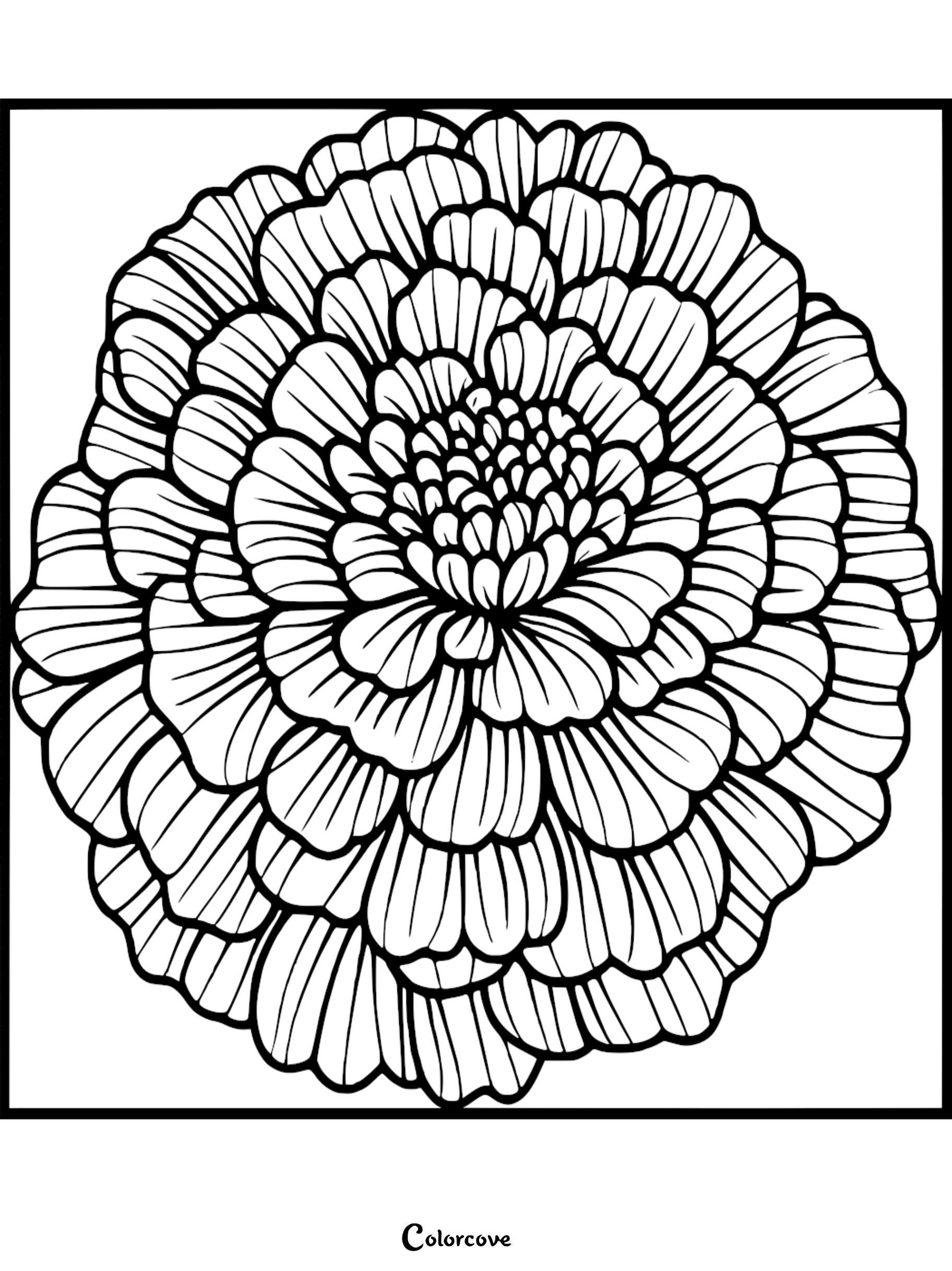 Flower coloring page with detailed petals for relaxing and creative coloring activities.