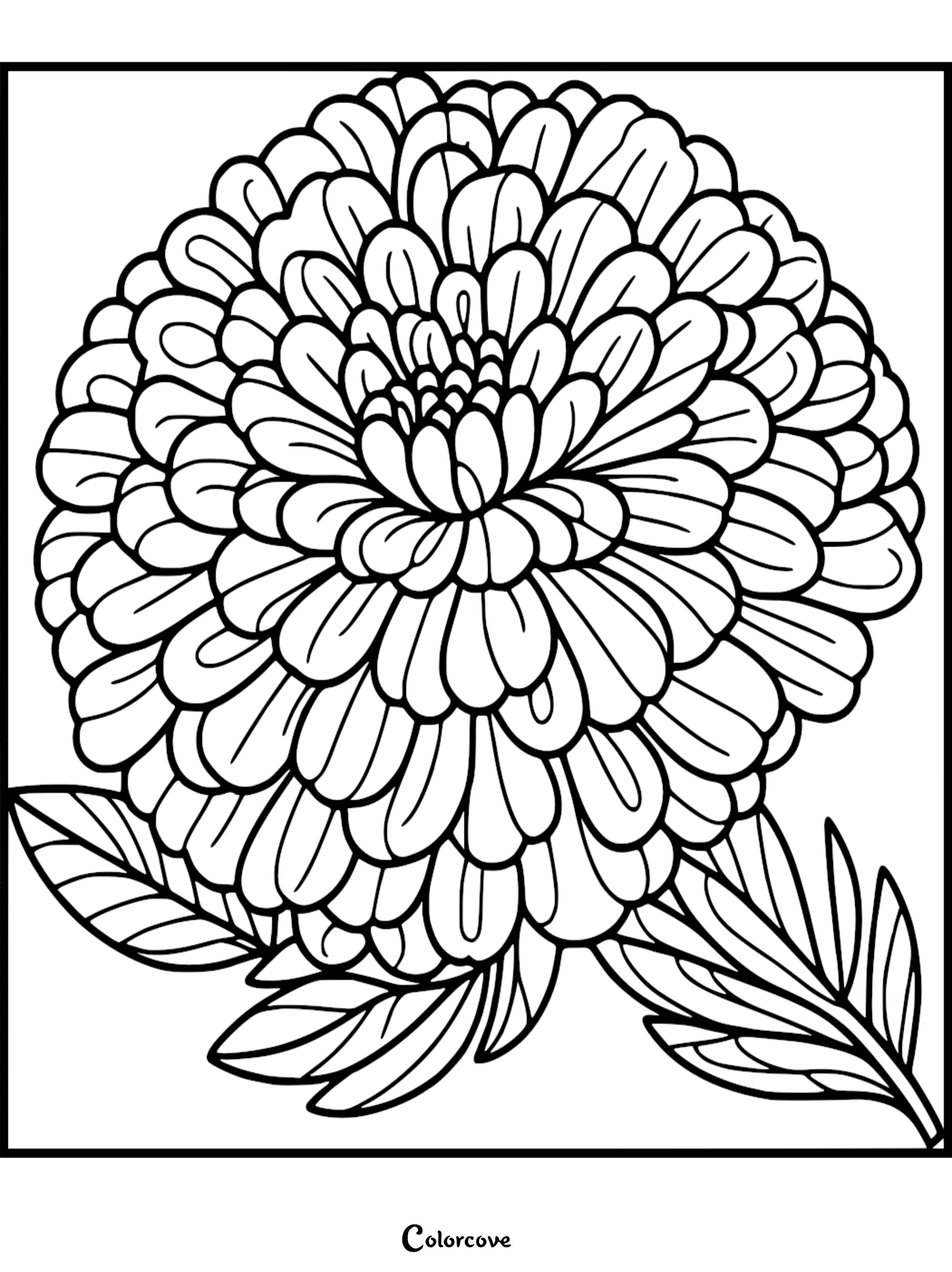 Detailed floral coloring page with intricate petal patterns for relaxation and creativity.