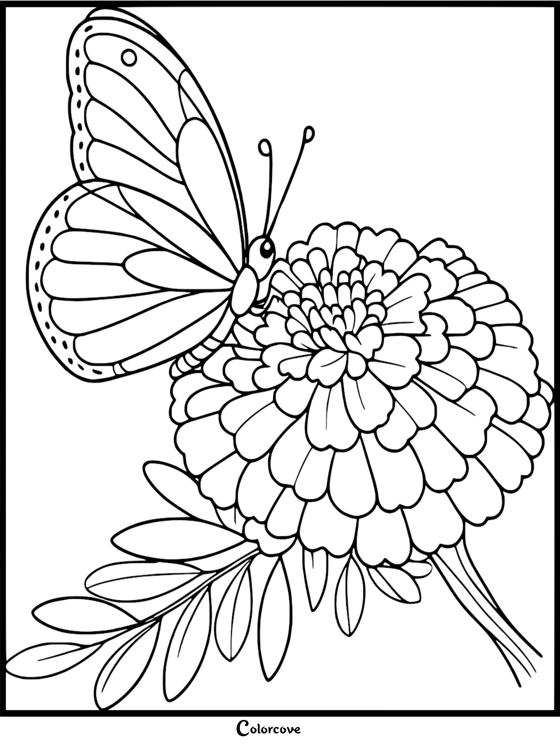 Butterfly on a flower coloring page, perfect for kids and adults to color and relax.